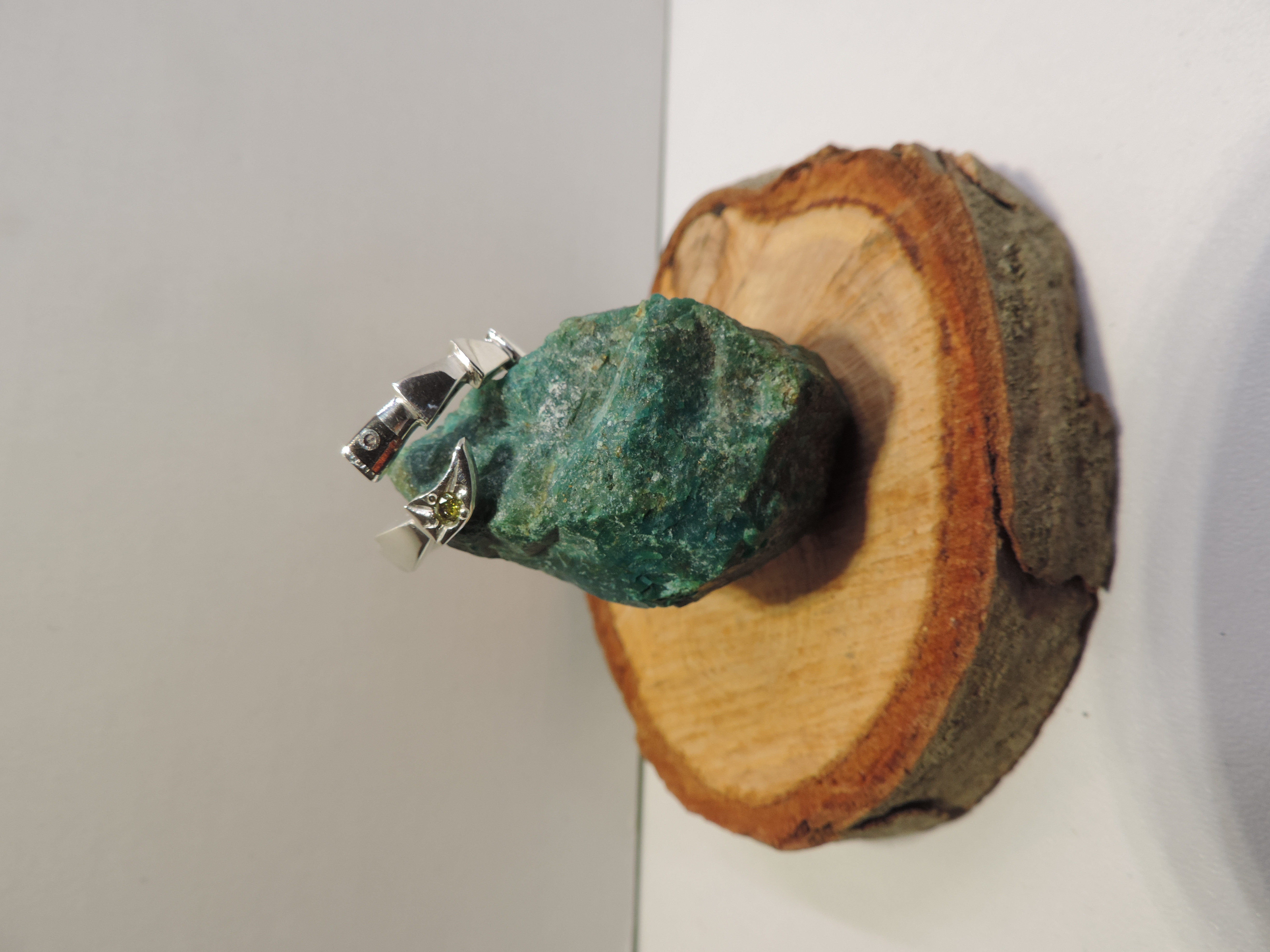 Cerf - griffe - de - jaguar