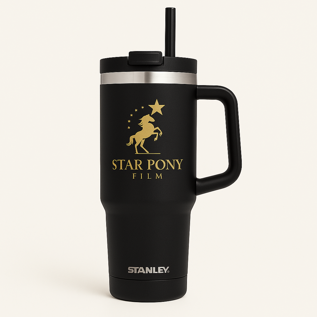 Stanley Tumbler - Black