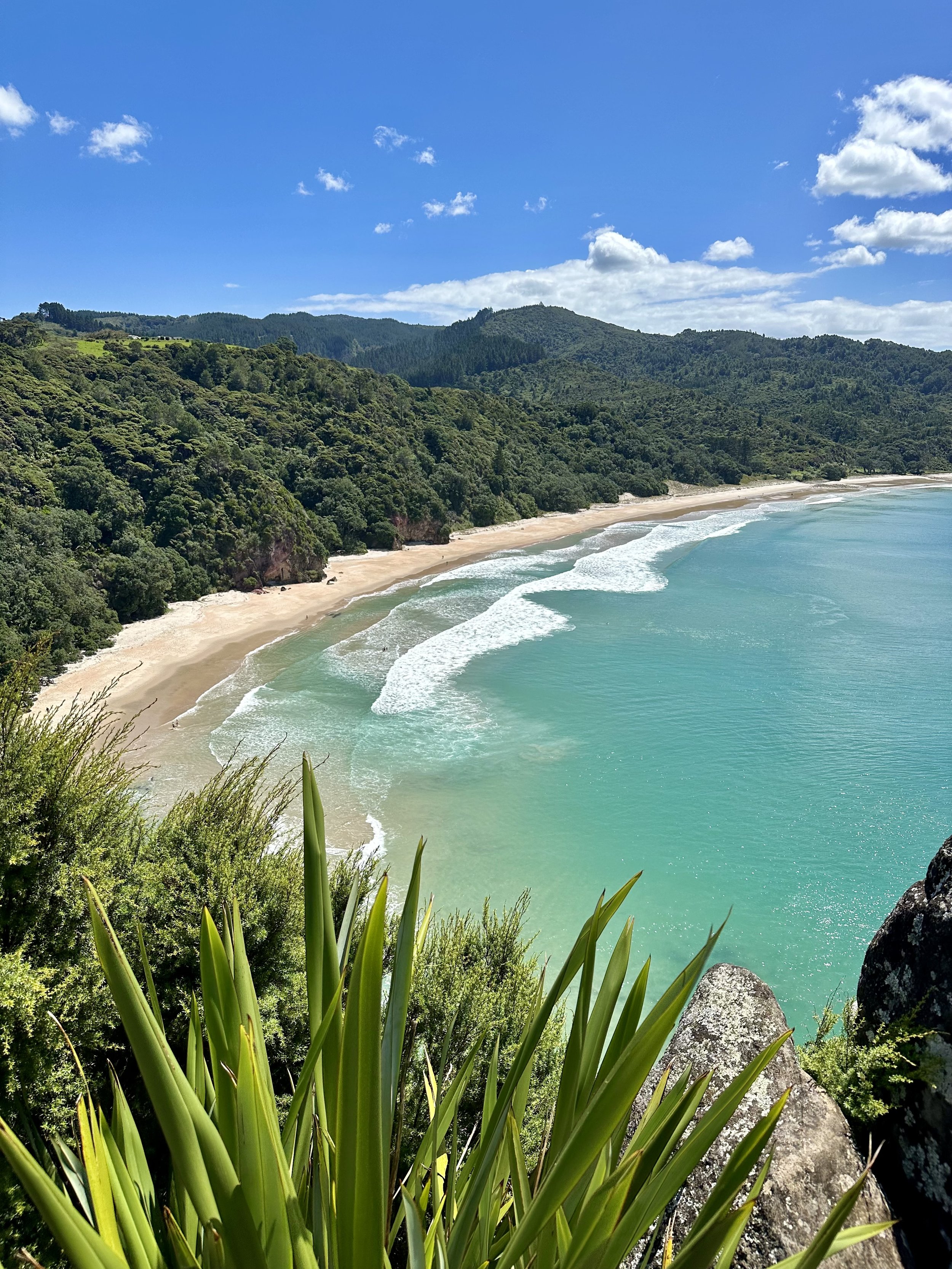 AUSTRALIA & NEW ZEALAND