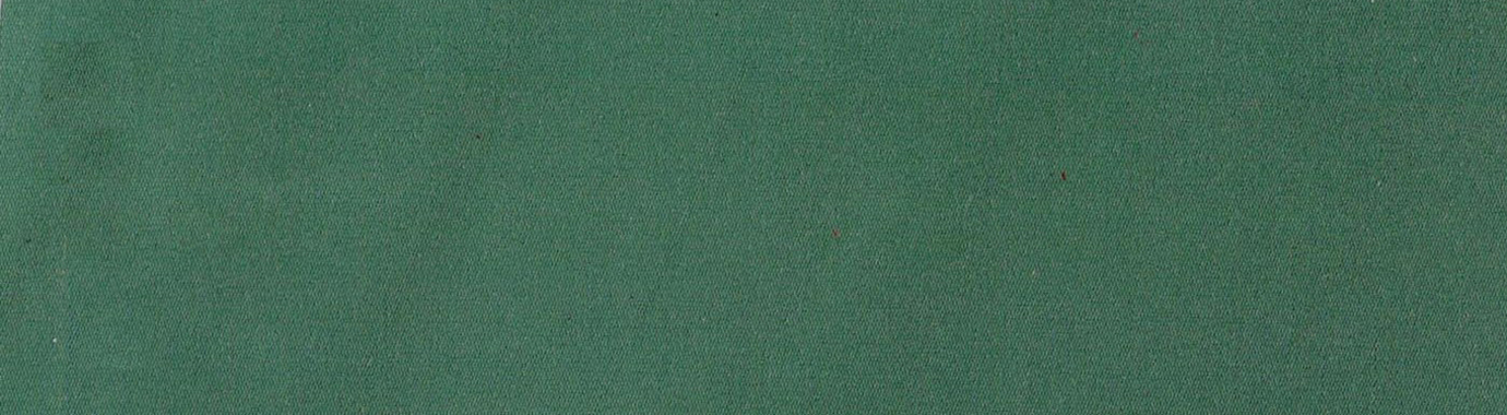 6101solution dyed polyester fabric Green Fabric