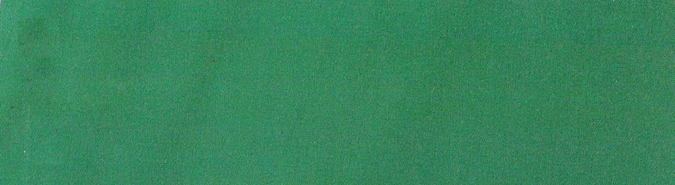 6123 Solution Dyed polyester awning fabric Green Felt Fabric