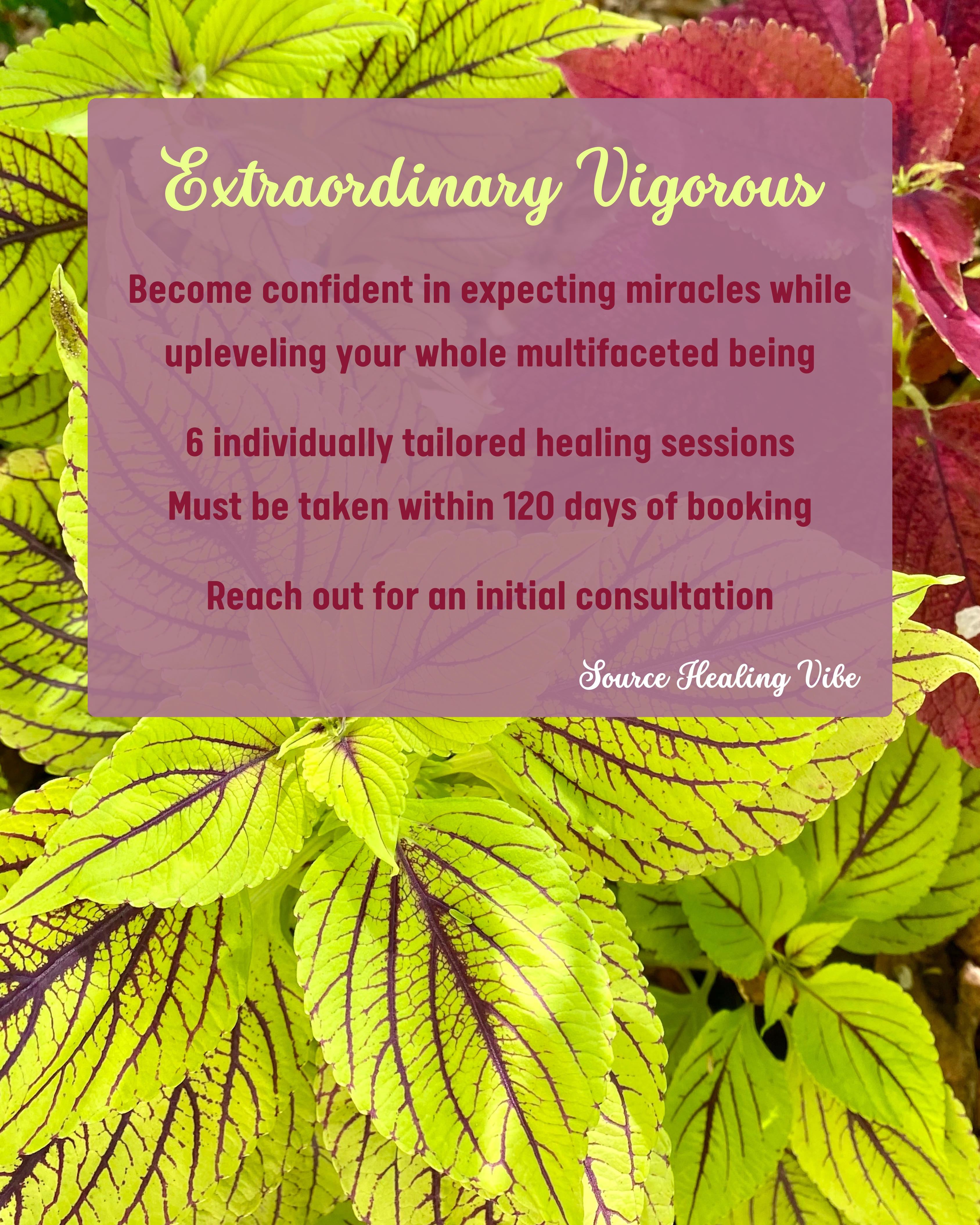 Extraordinary Vigerous