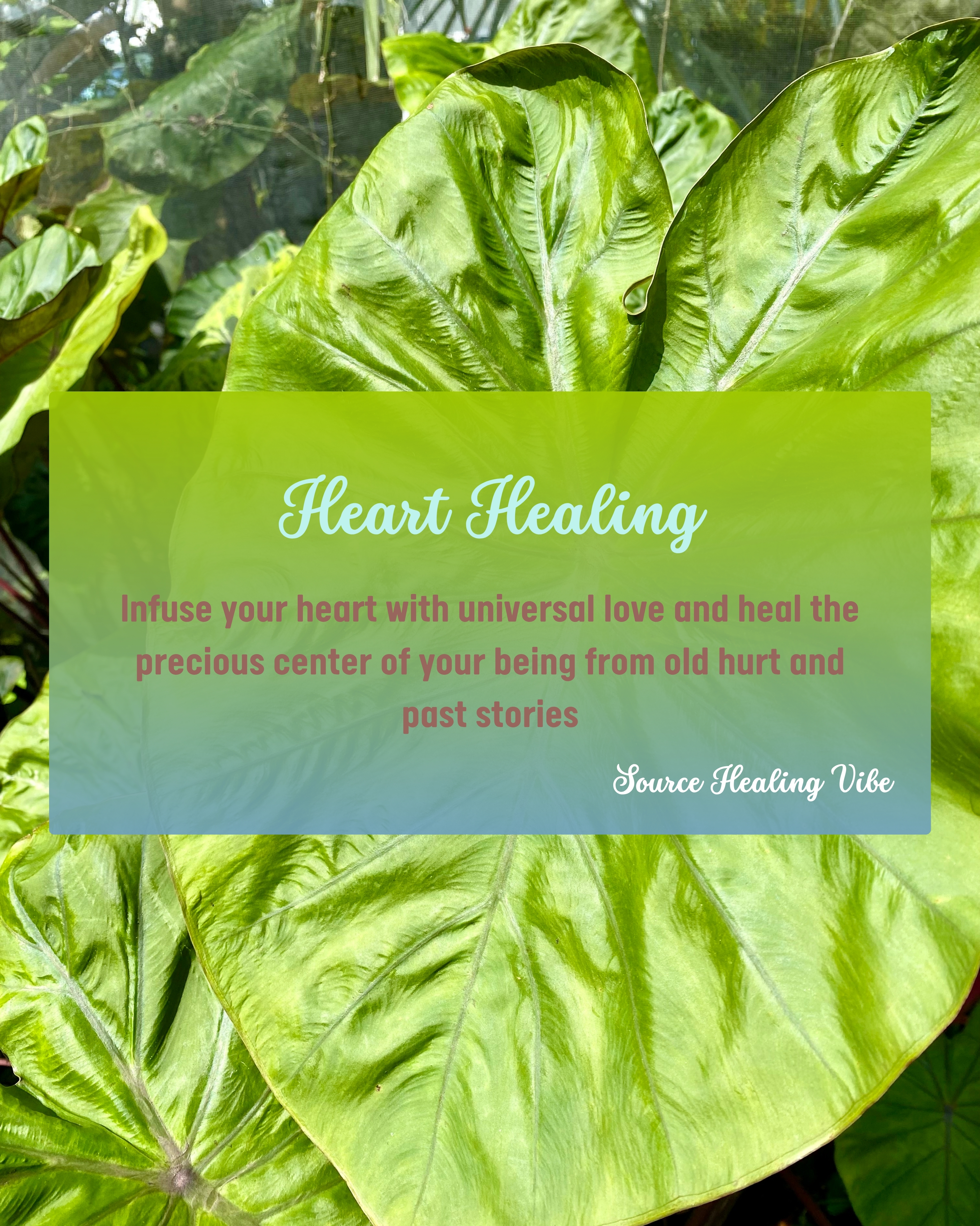 Heart Healing