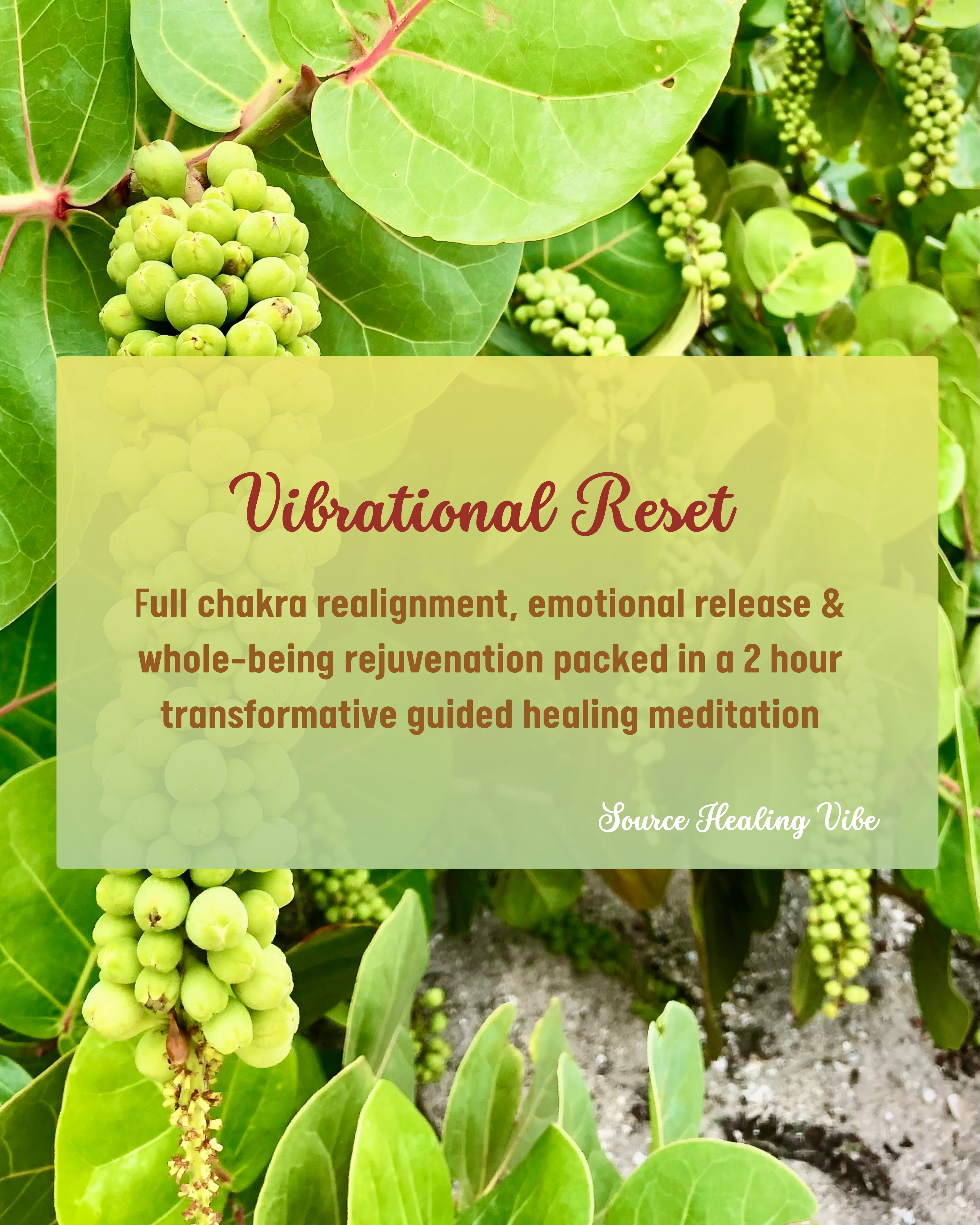 Vibrational Reset