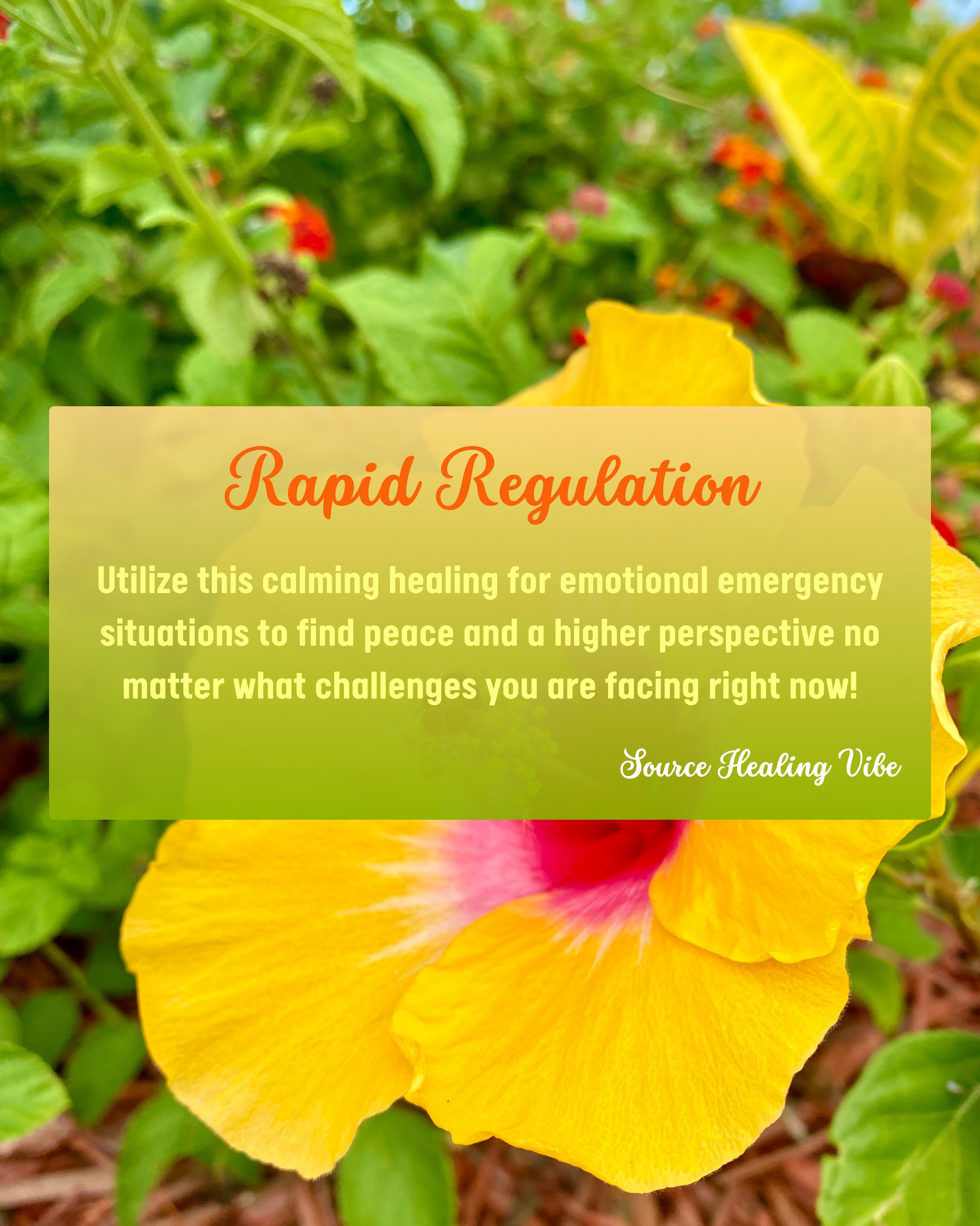 Rapid Regulation