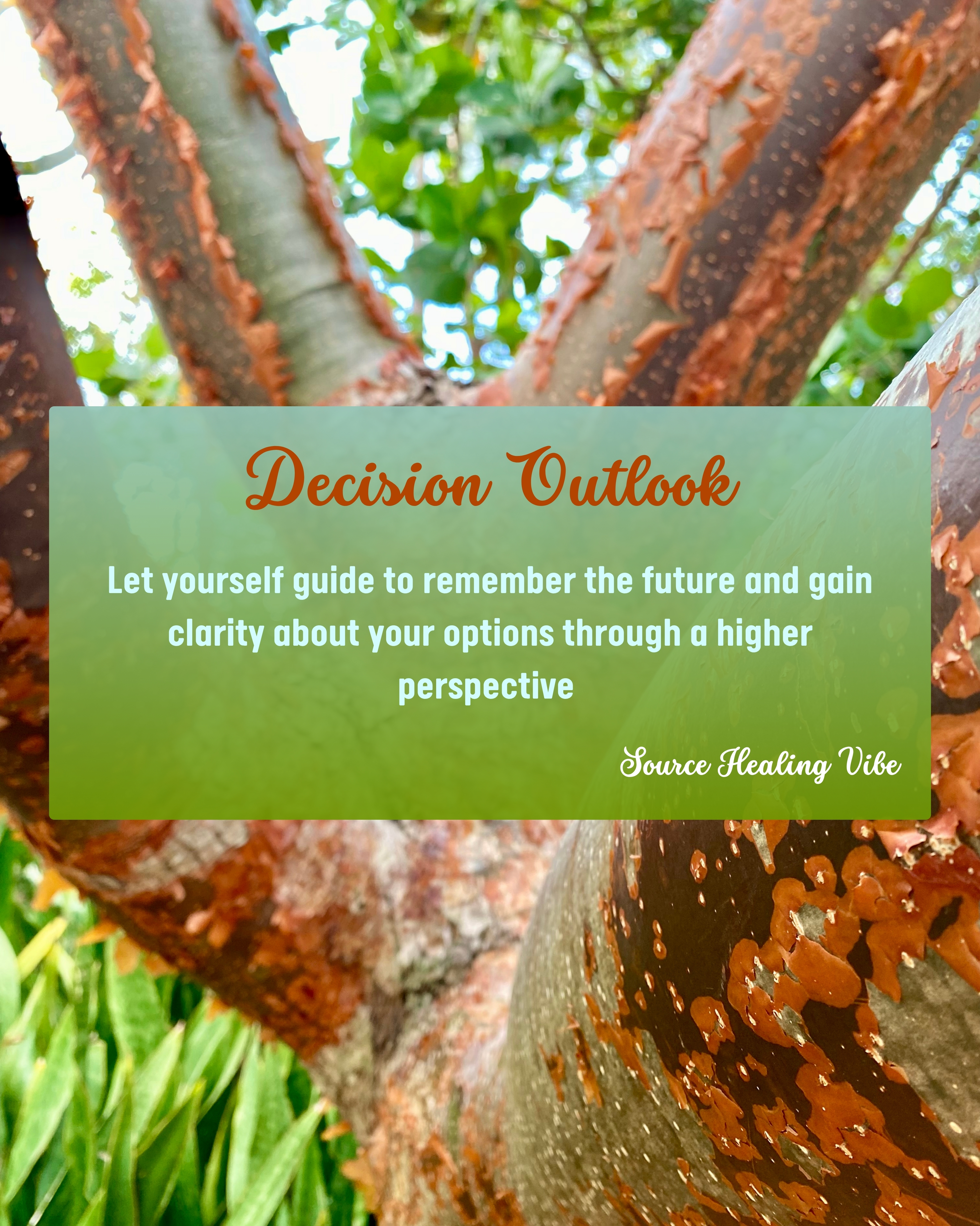 Decision Outlook