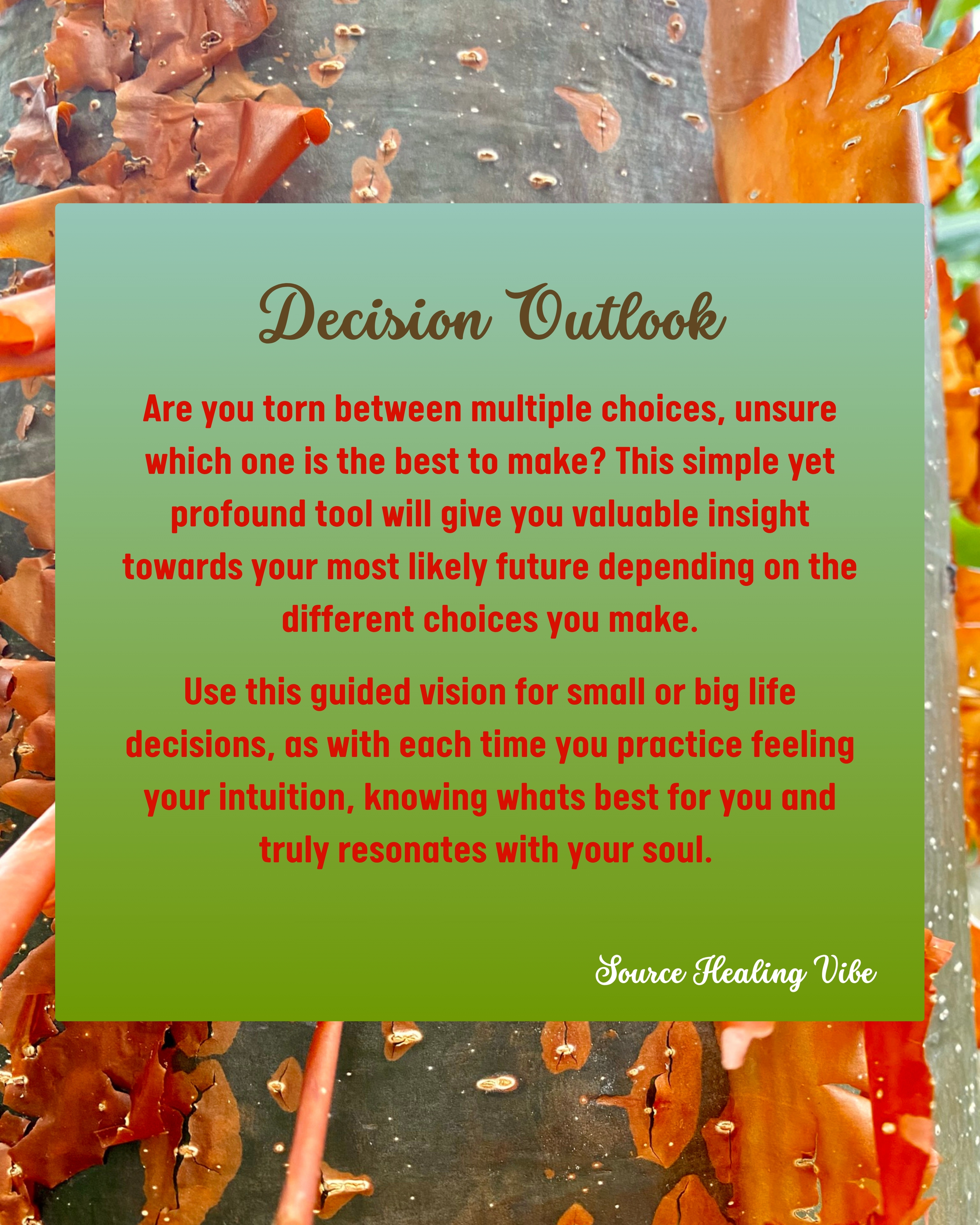 Decision Outlook