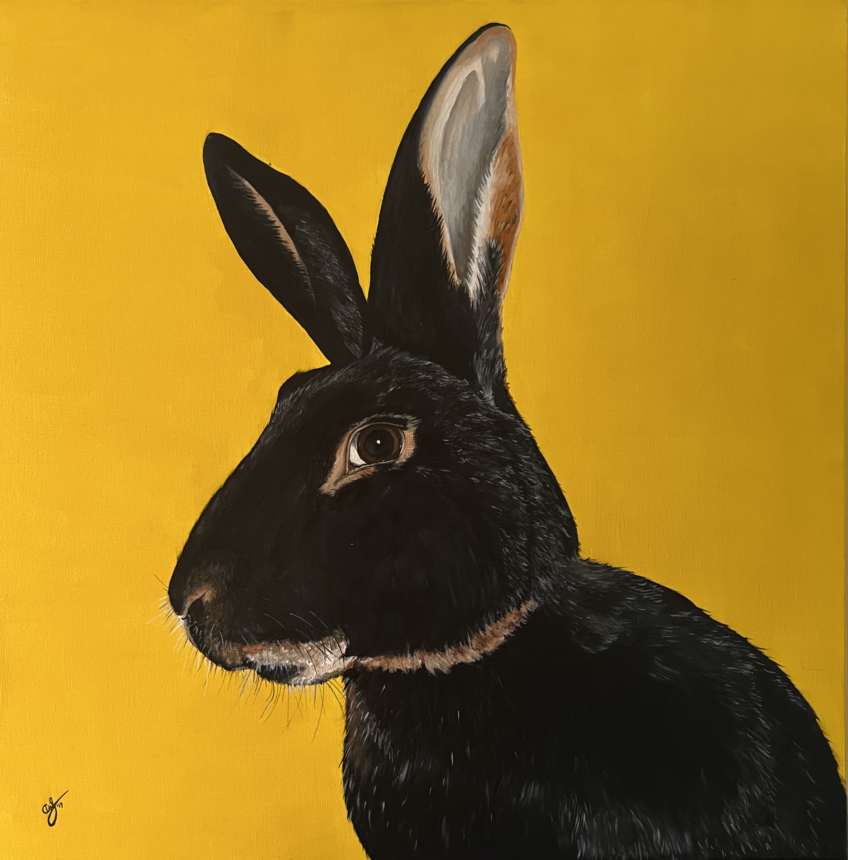 Yellow Rabbit
