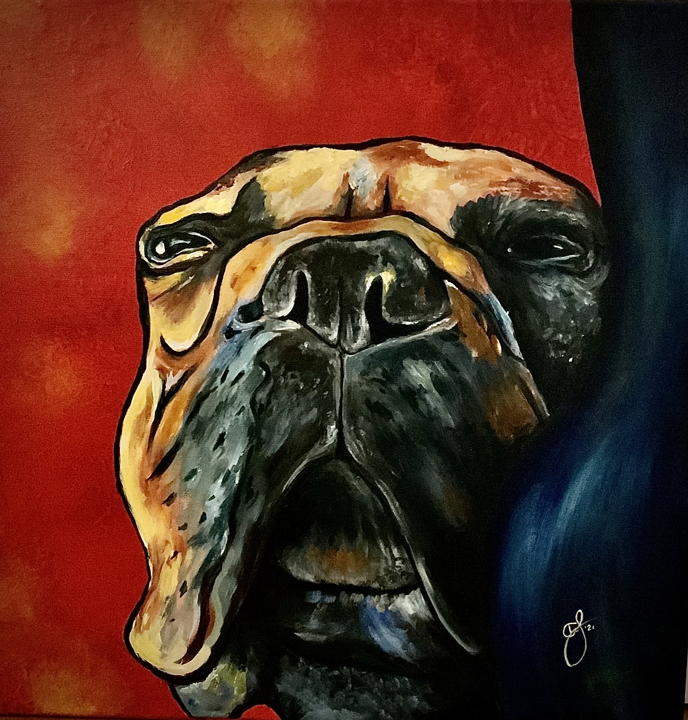 Drama Queen In Search of Earsies