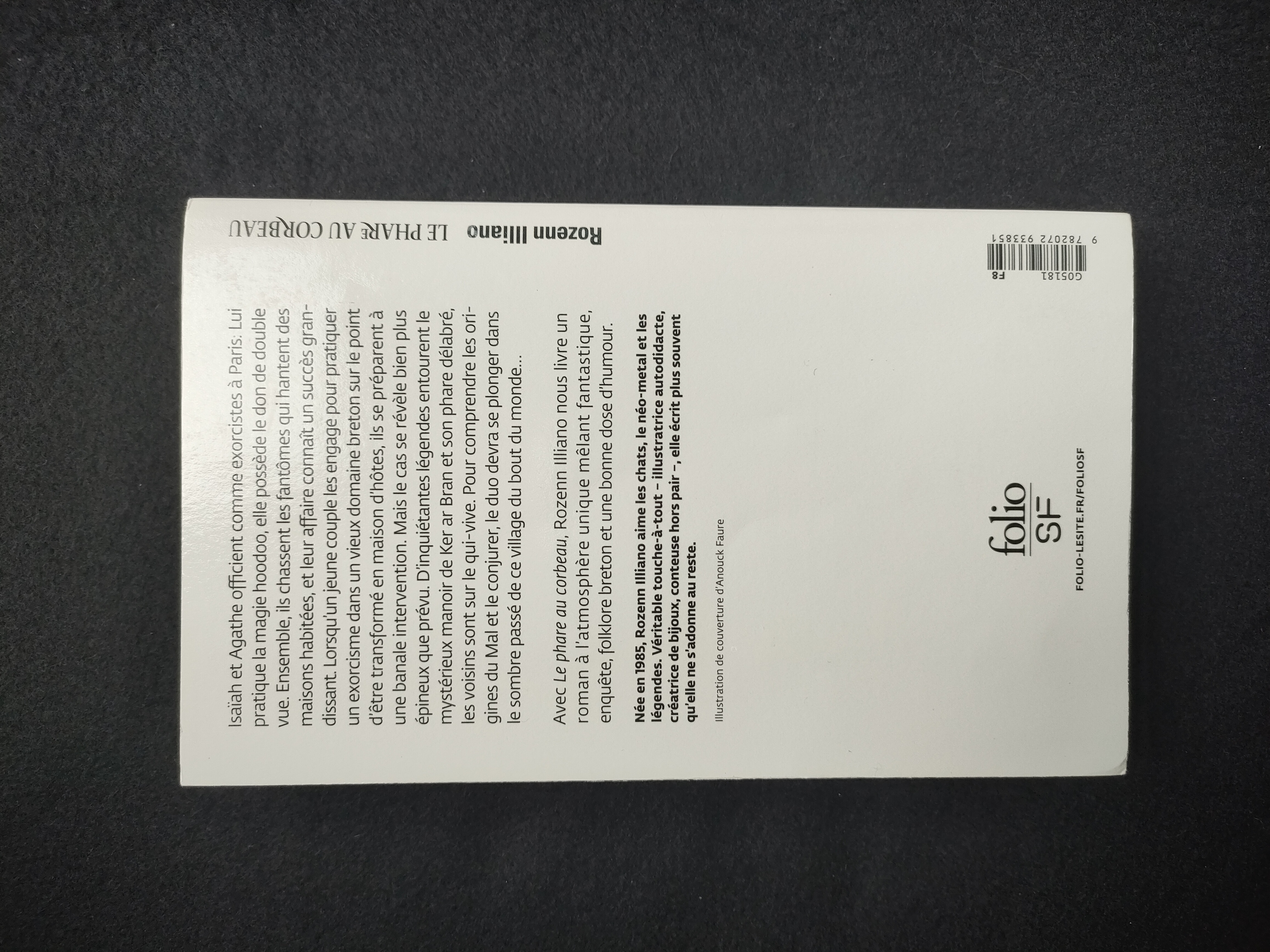 Le Phare au Corbeau ~ Rozenn Illiano