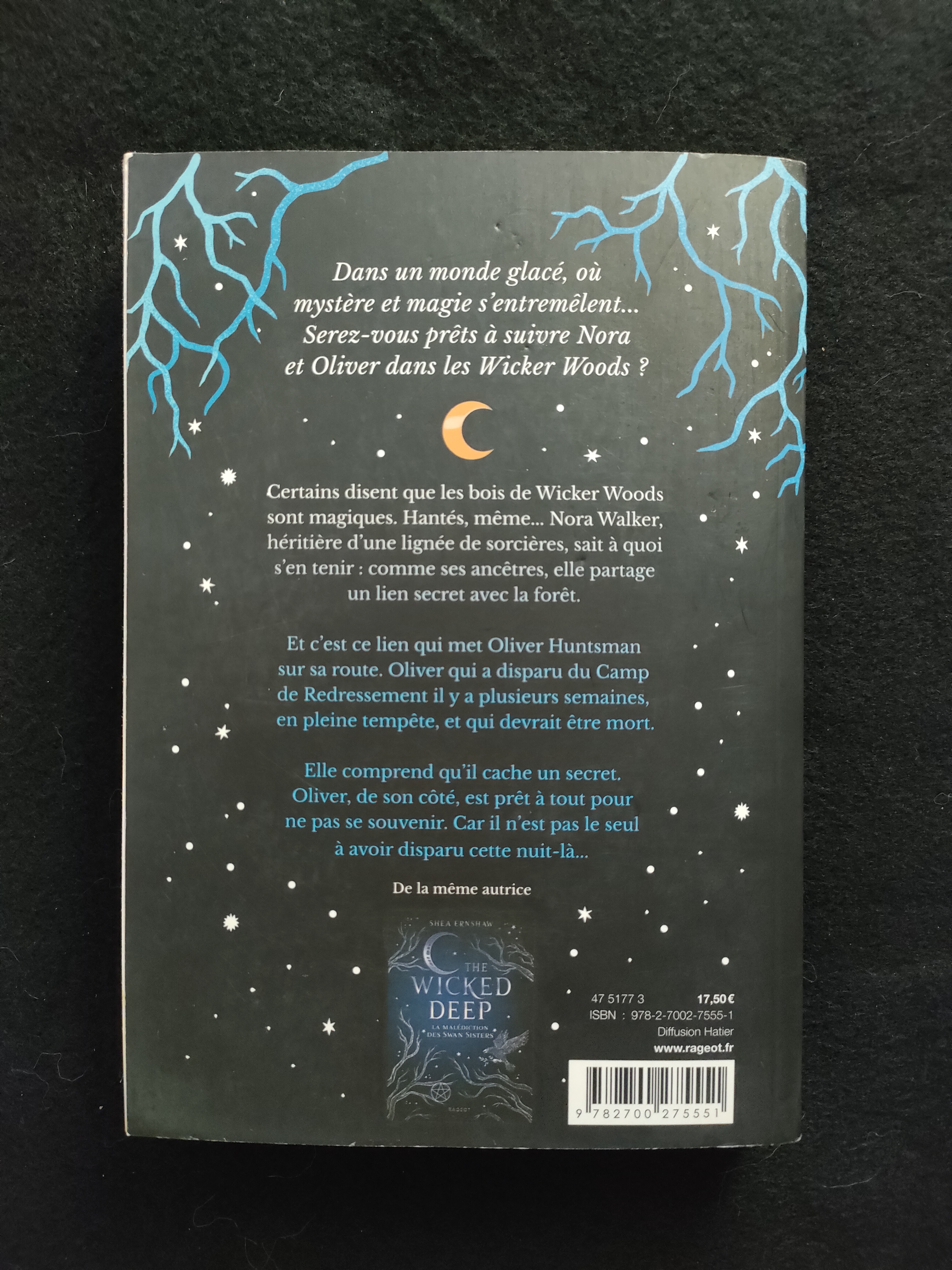 Winterwood ~ Shea Ernshaw
