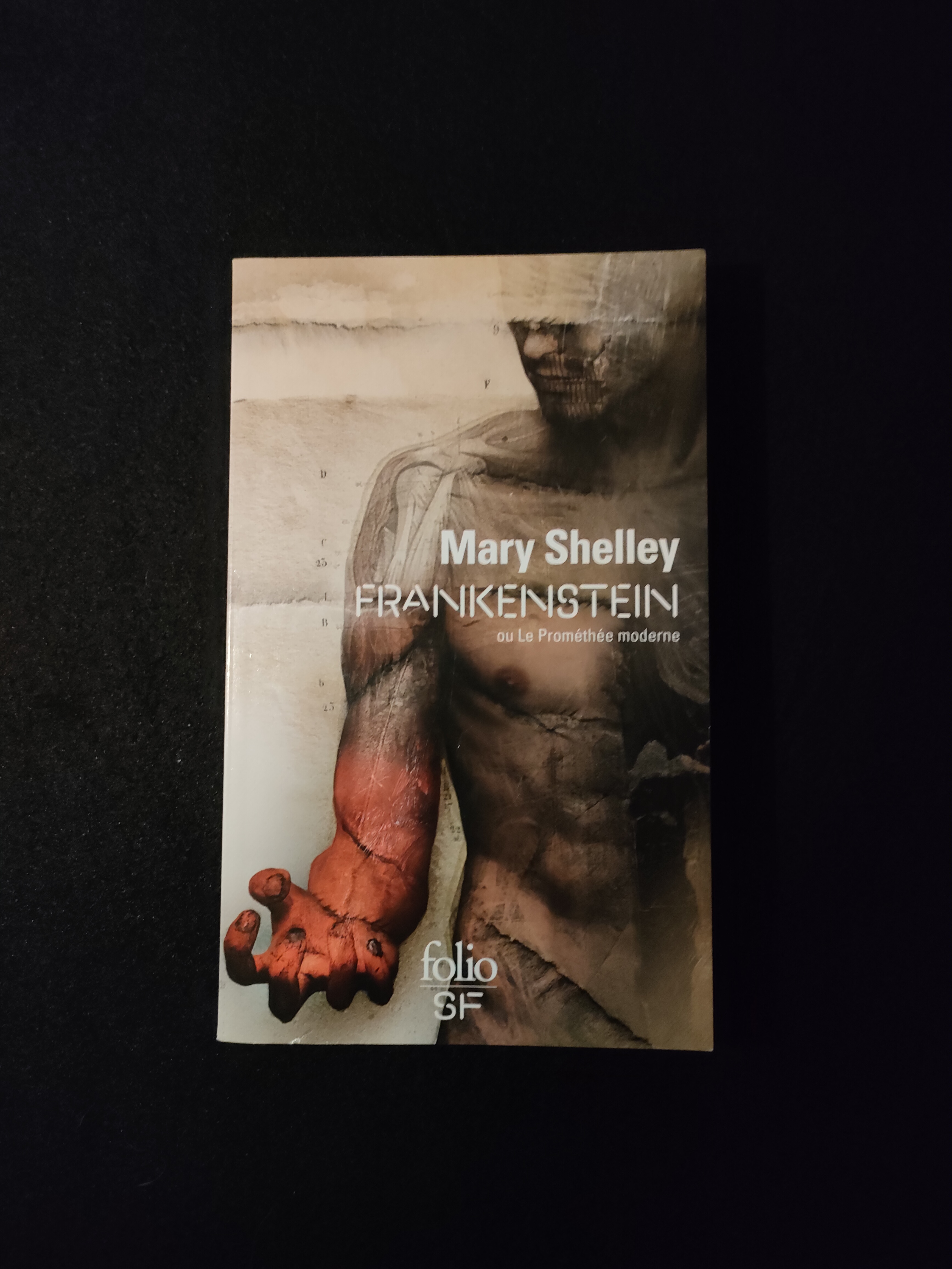 Frankenstein ~ Mary Shelley
