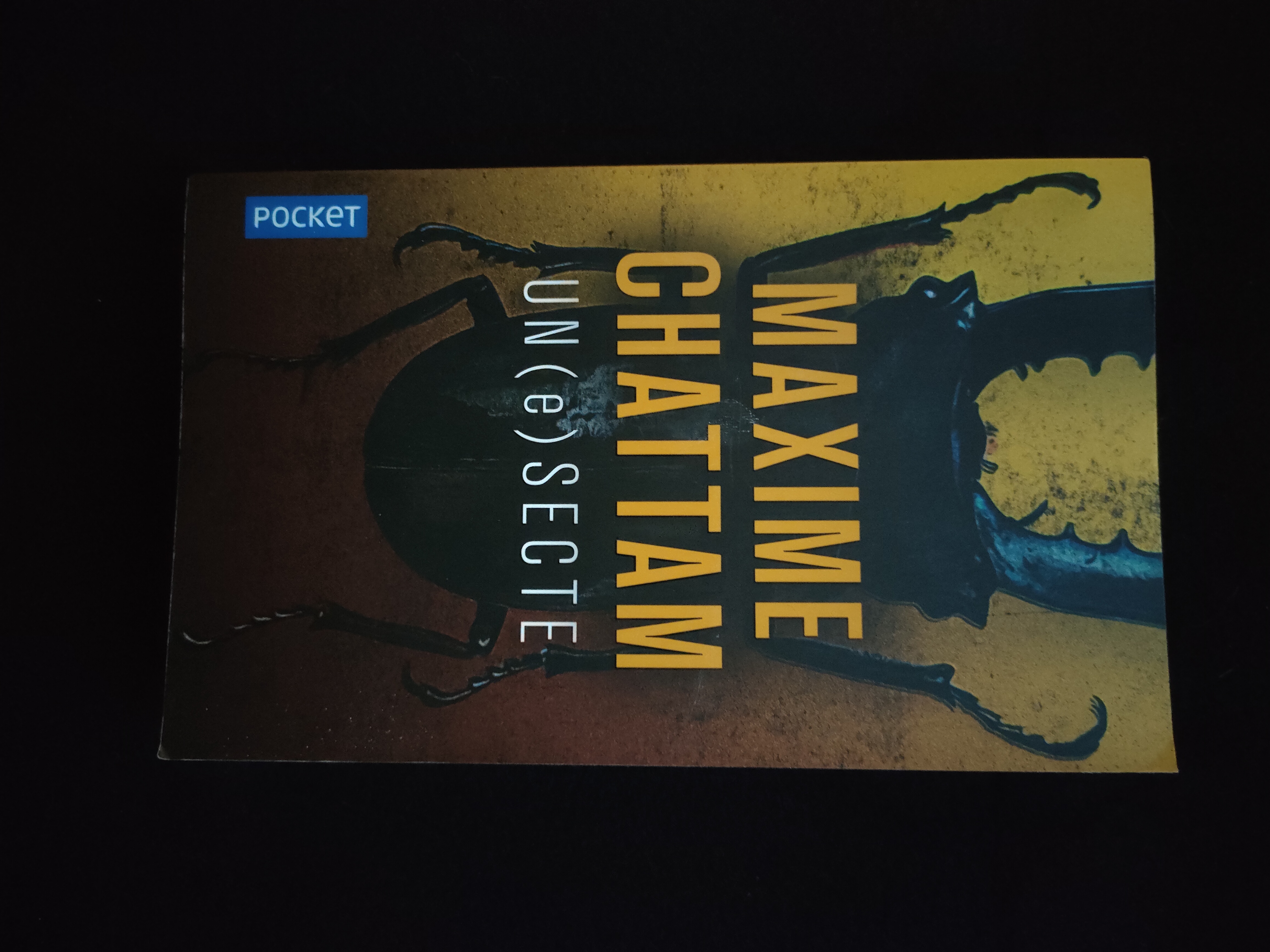 Un(e)Secte ~ Maxime Chattam