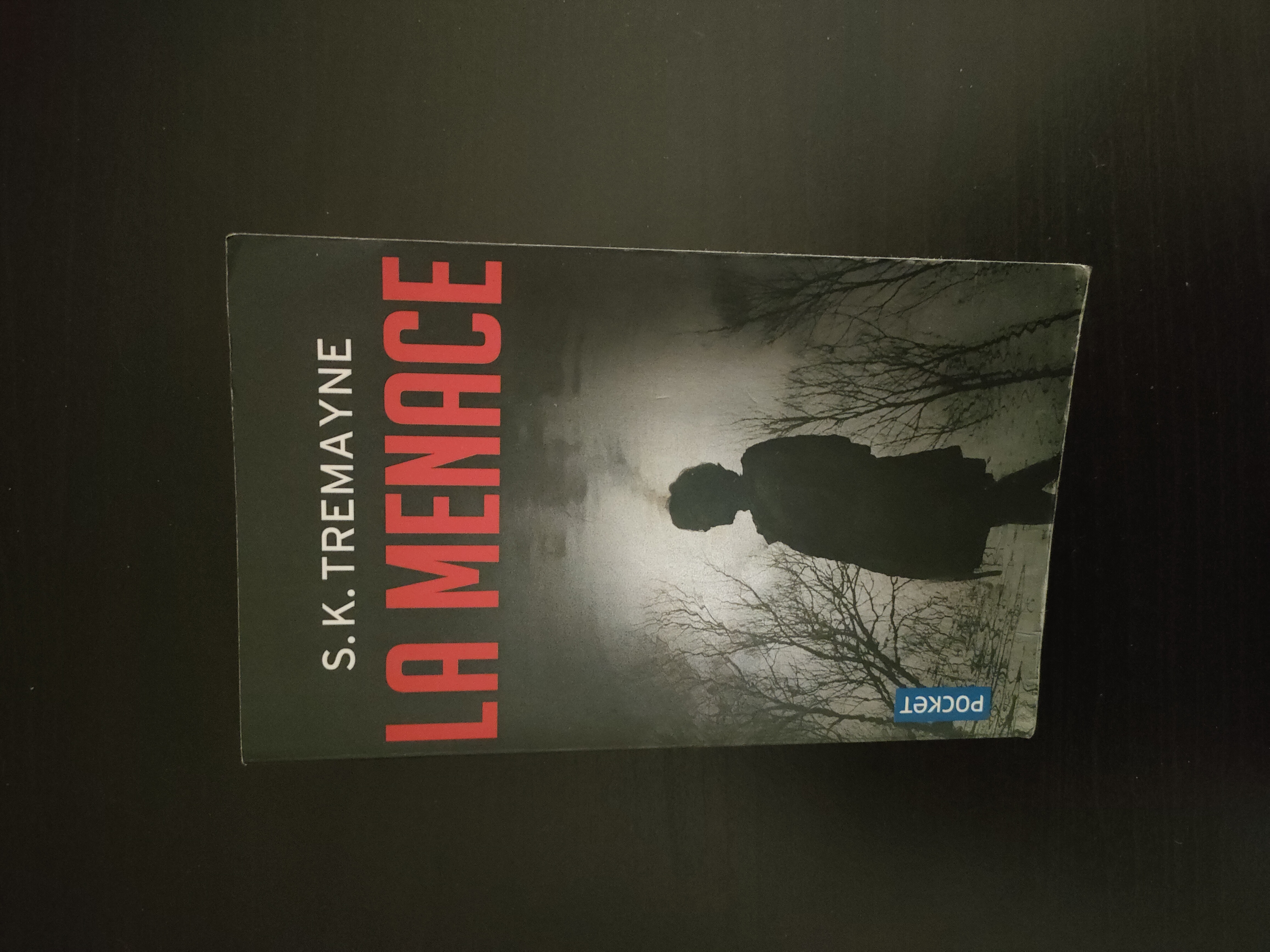 La Menace ~ S.K Tremayne