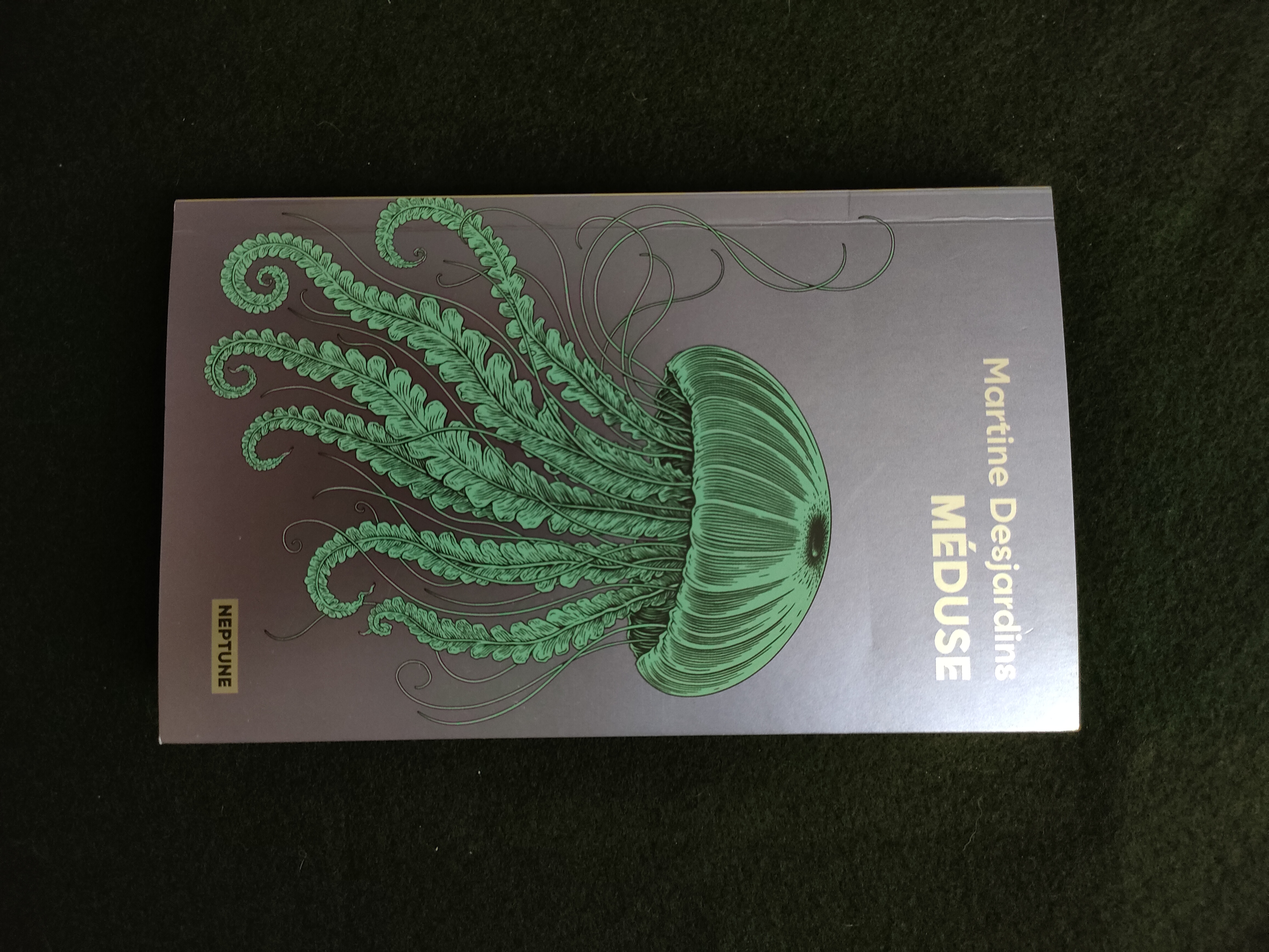 Méduse ~ Martine Desjardins