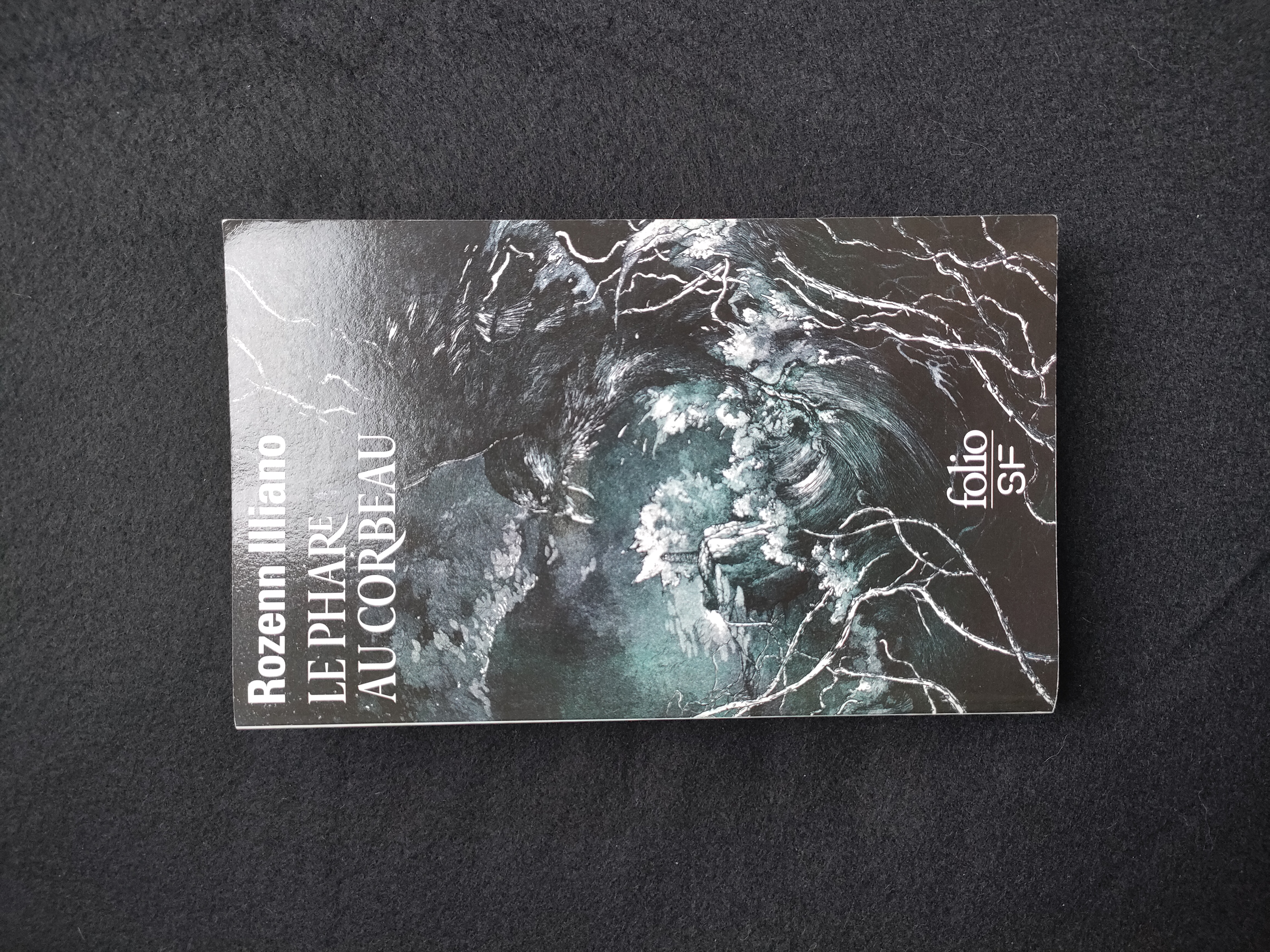 Le Phare au Corbeau ~ Rozenn Illiano