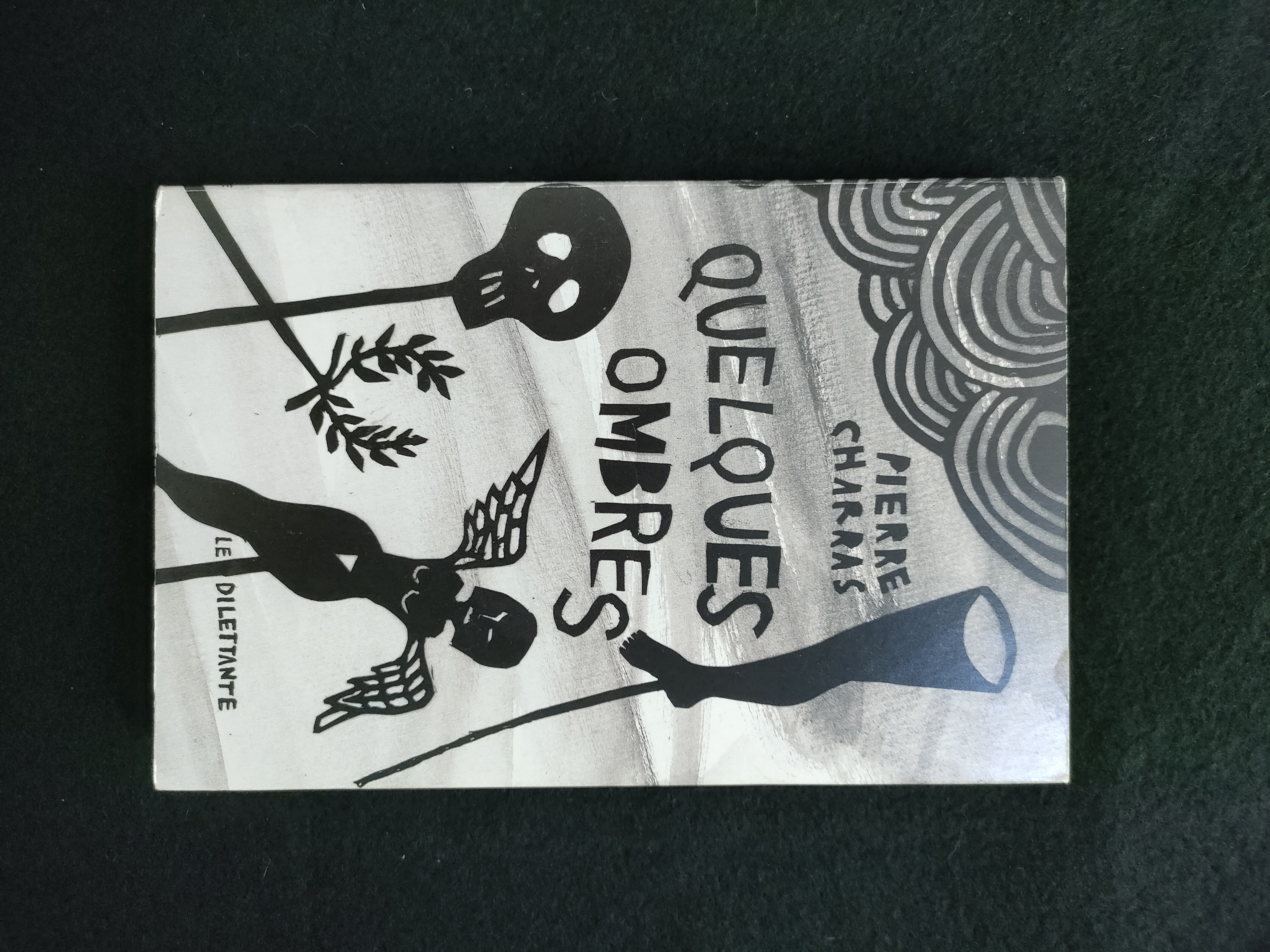 Quelques Ombres ~ Pierre Charras