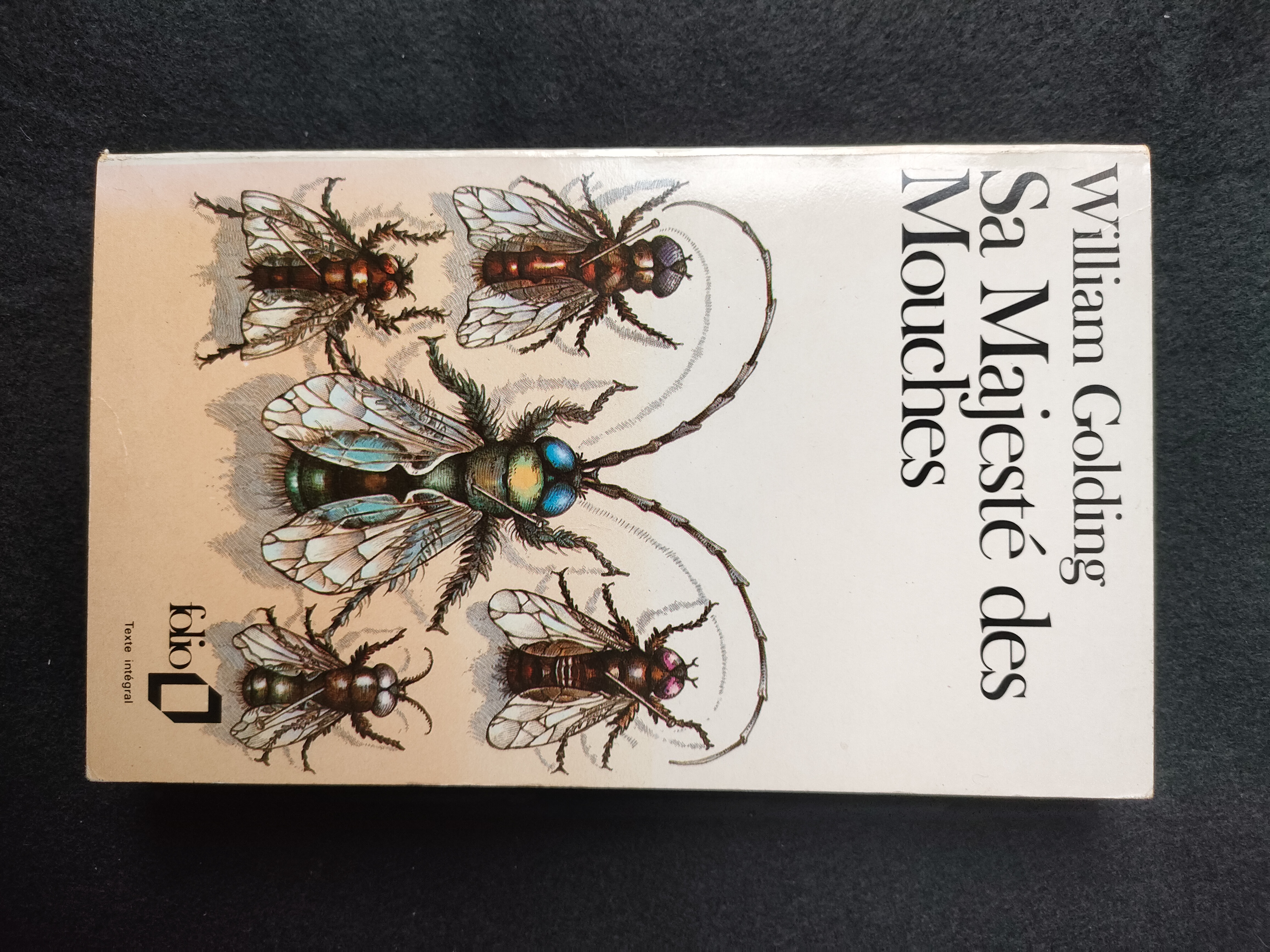 Sa Majesté des Mouches ~ William Golding