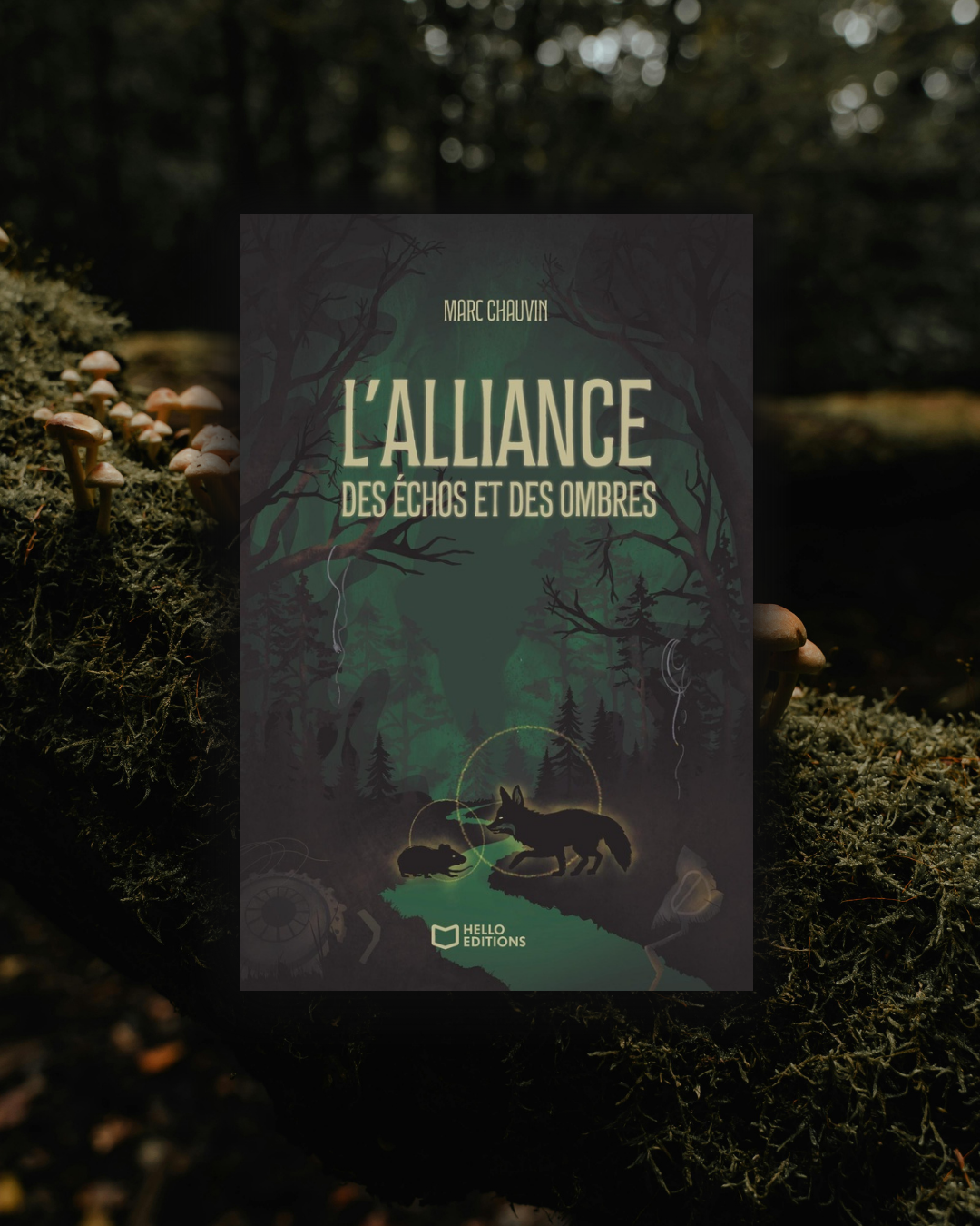 L'Alliance des Echos et des Ombres ~ Marc Chauvin