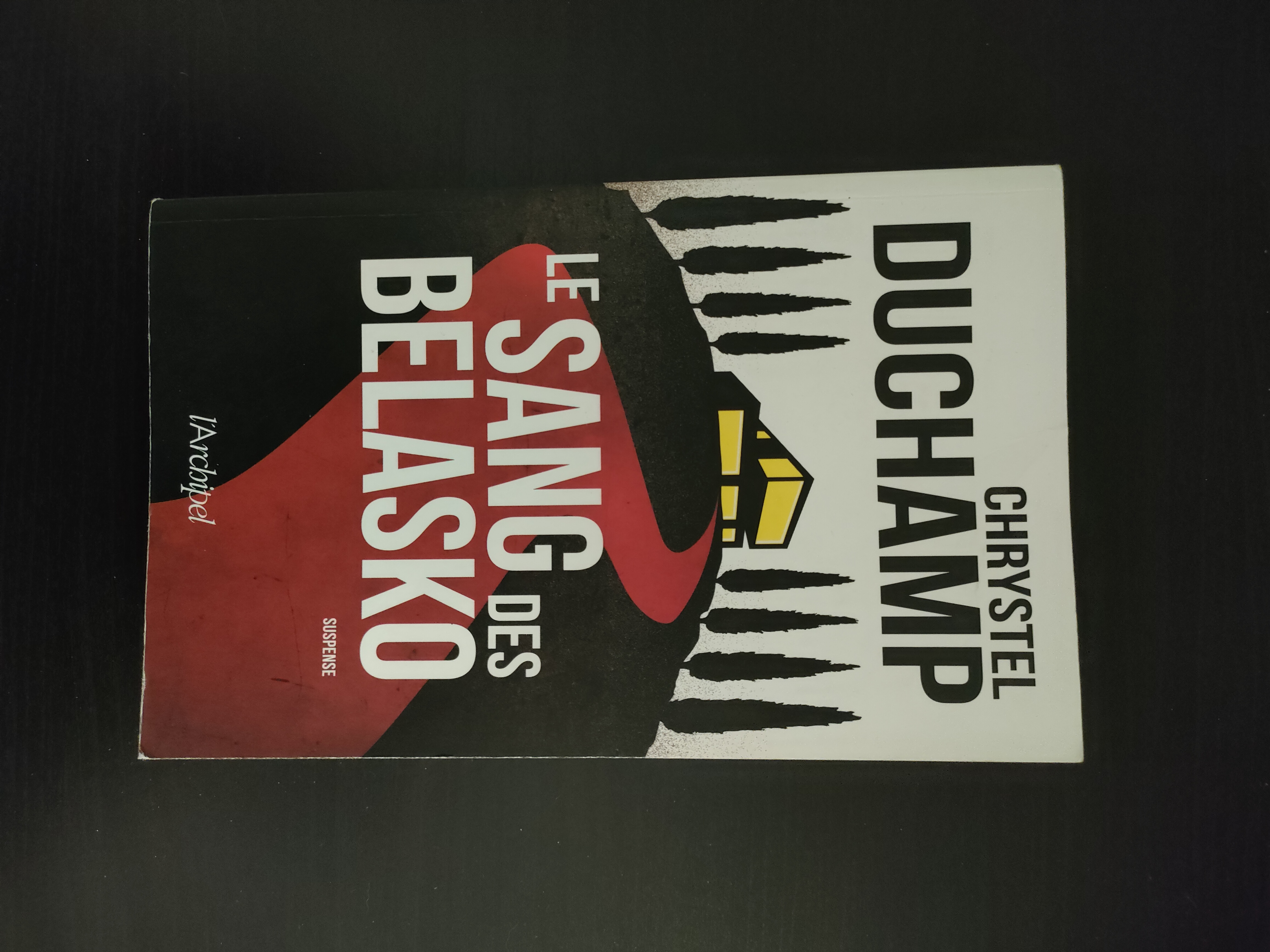 Le Sang des Belasko ~ Chrystel Duchamp