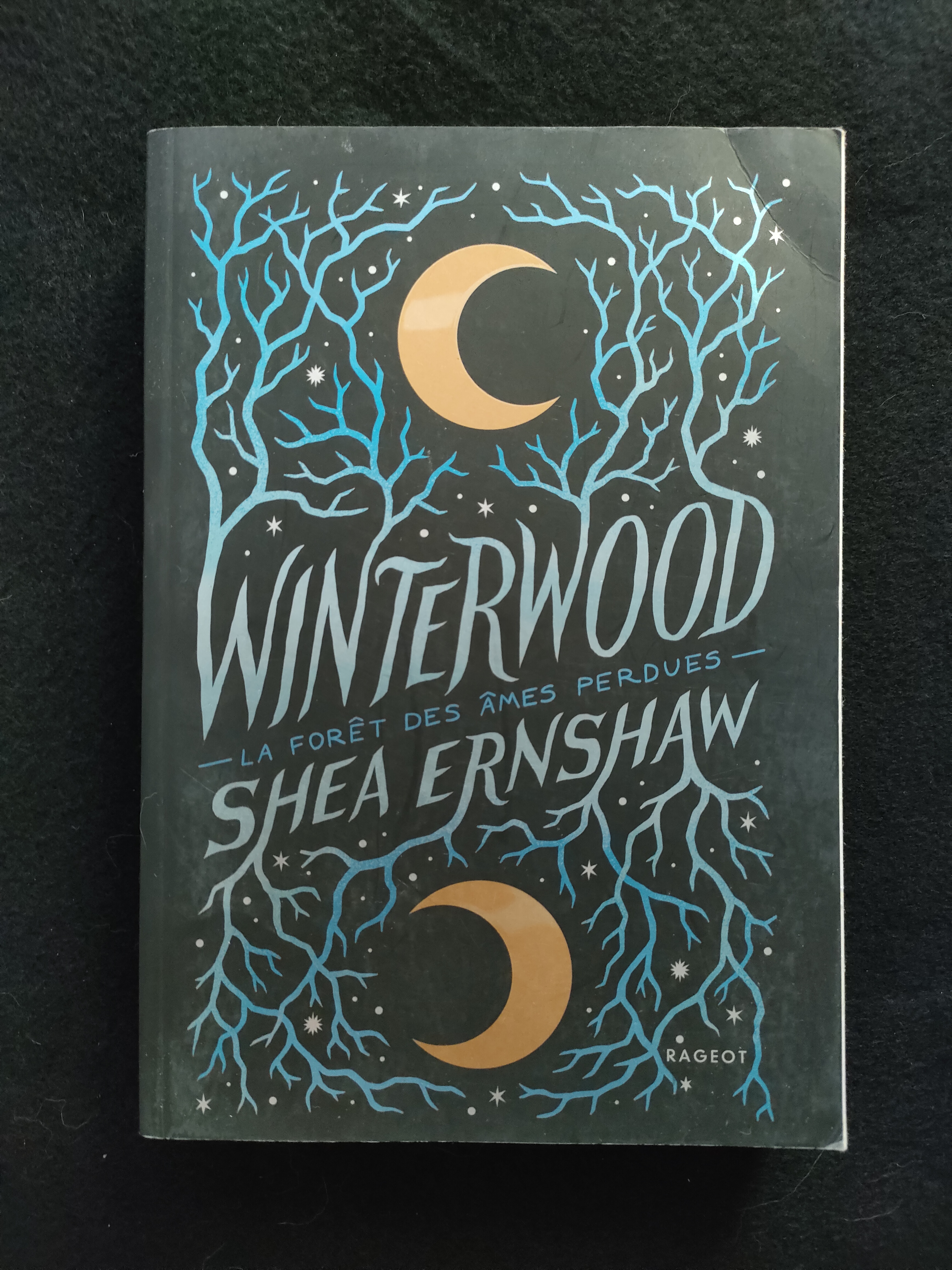 Winterwood ~ Shea Ernshaw