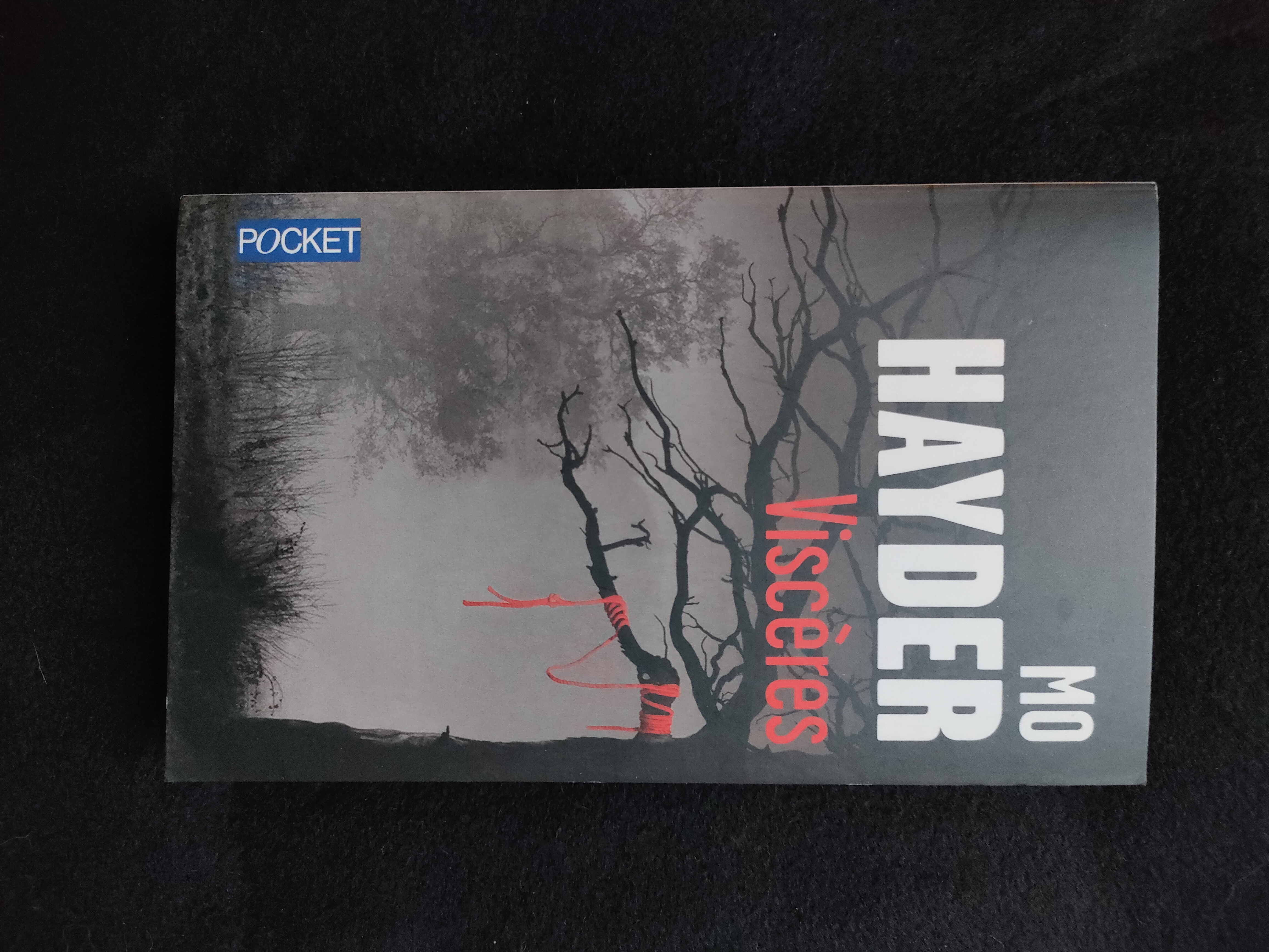 Viscères ~ Mo Hayder