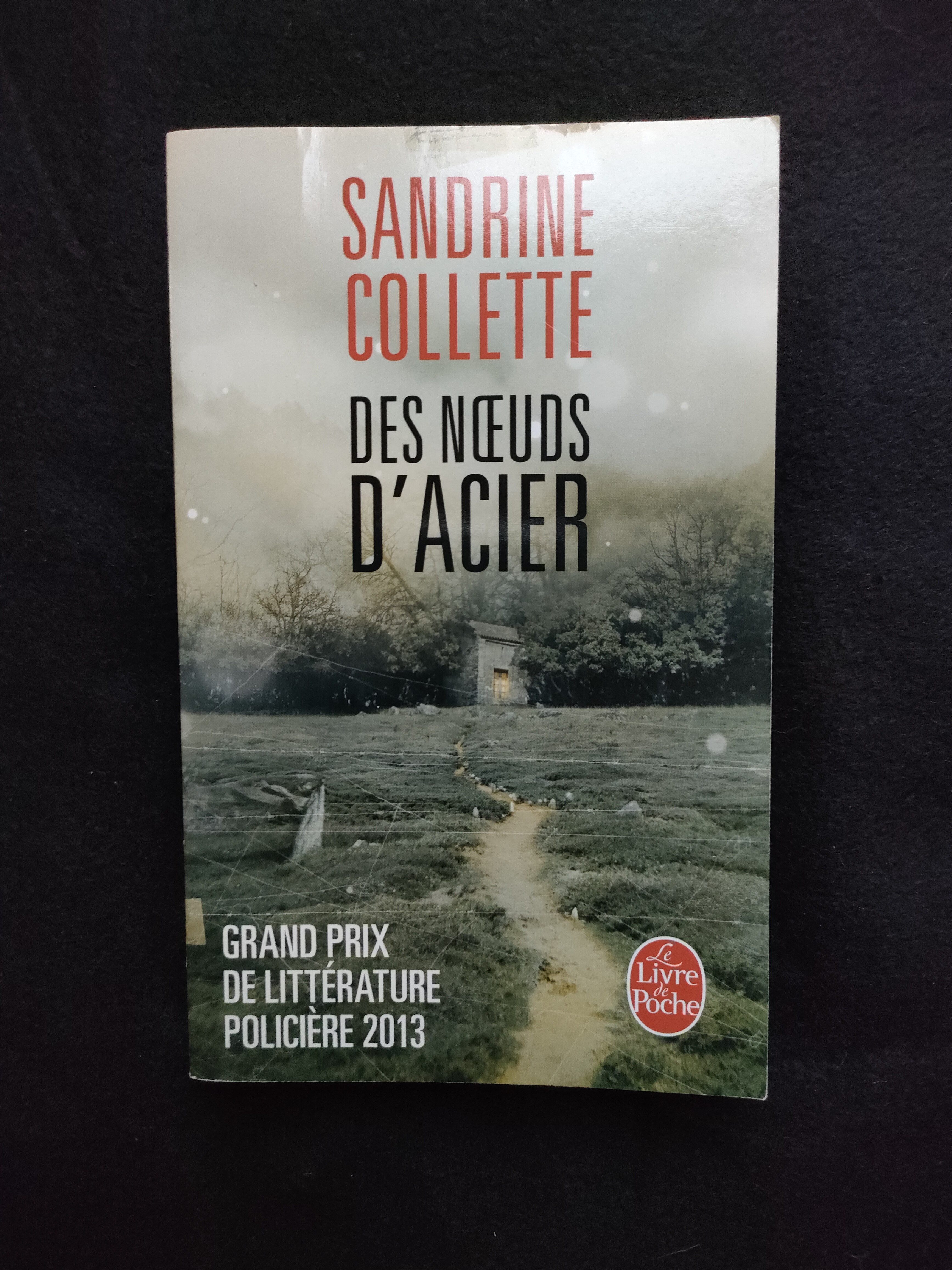 Des Noeuds d'Acier ~ Sandrine Collette 