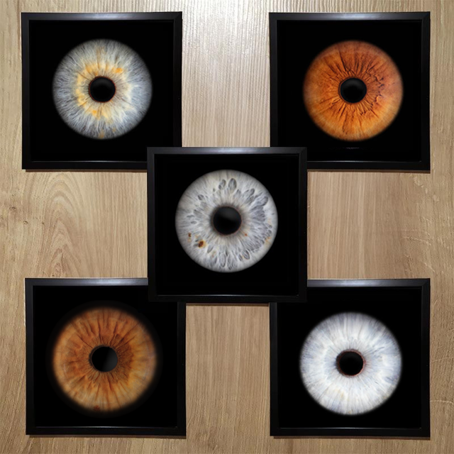 Bon Cadeau Photographie 5 iris