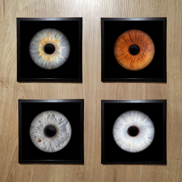 Bon Cadeau Photographie 4 iris