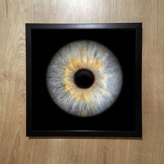 Bon Cadeau Photographie 1 iris