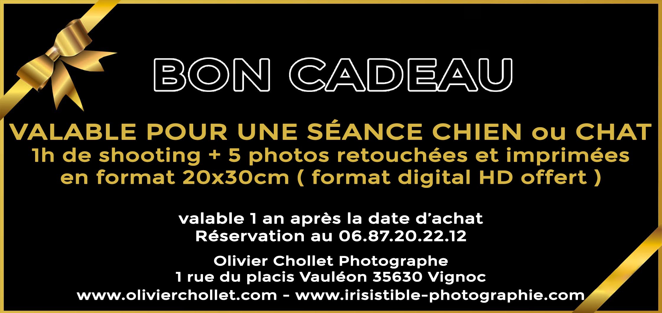 Bon Cadeau Shooting photo Animal de compagnie