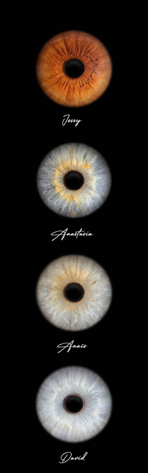 Bon Cadeau pour une séance photo d’ iris famille de 4 personnes