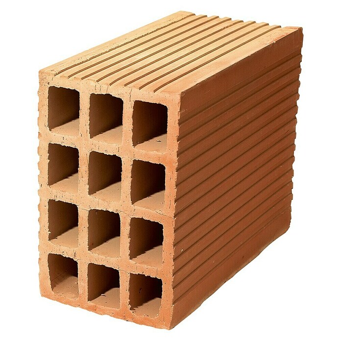 Ticholo