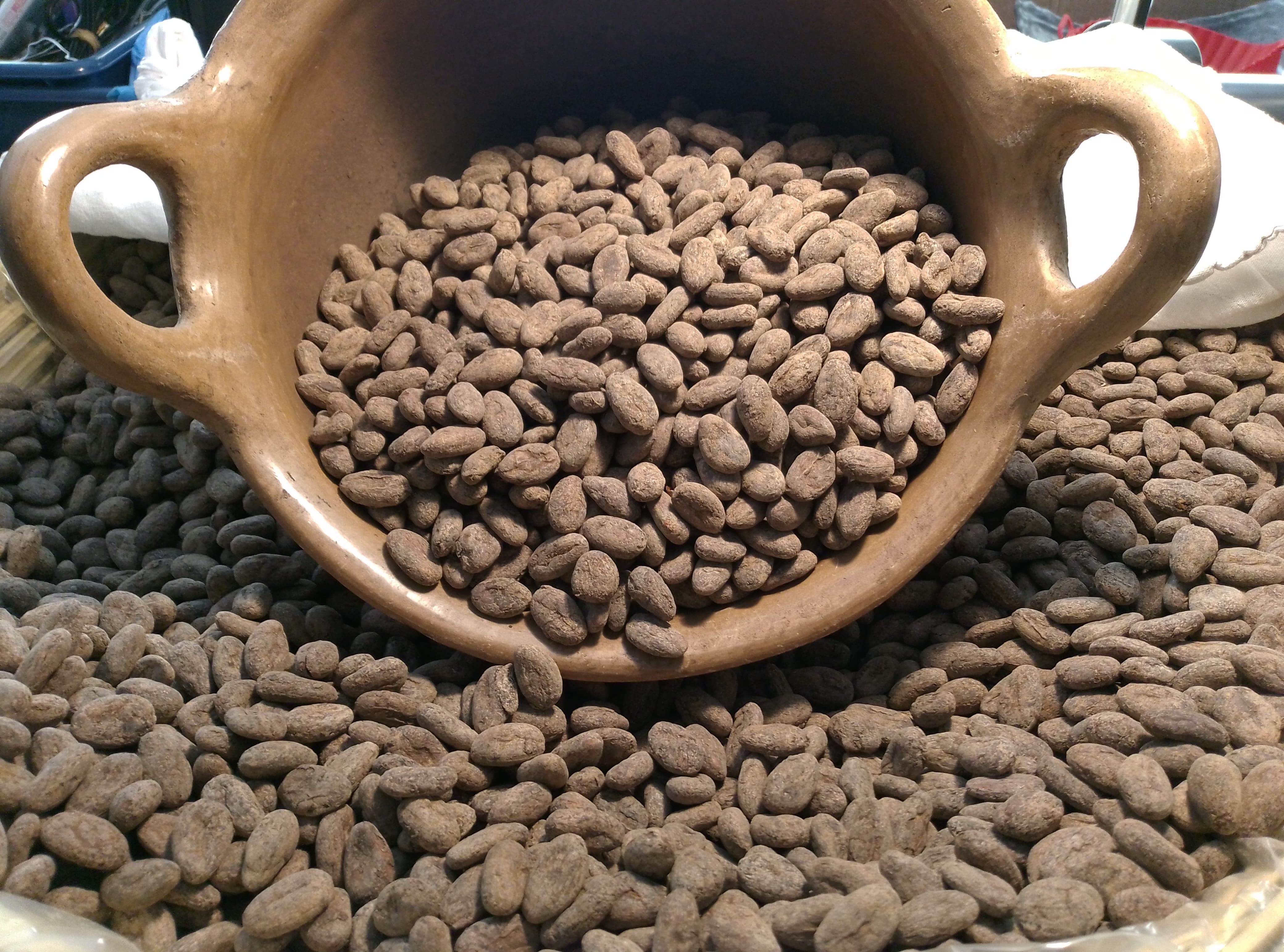 Criollo Roasted Cocoa Beans