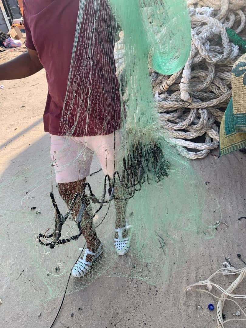 FILET ÉPERVIER 2DOIGT  5M DE LONG  19M DE LARGEUR  50 POCHETTE 