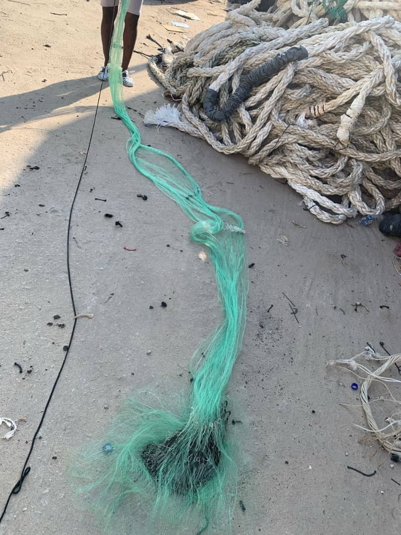 FILET ÉPERVIER 2DOIGT  5M DE LONG  19M DE LARGEUR  50 POCHETTE 