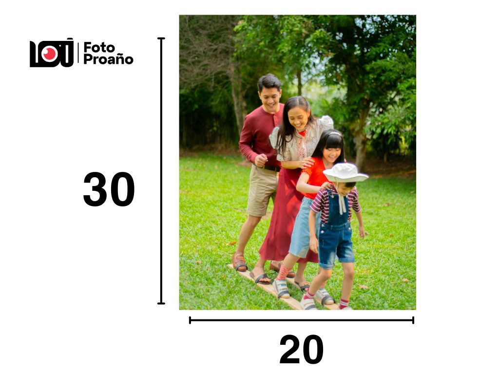 20x30