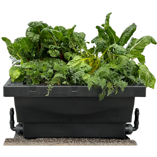 Foodcube installed on garden/lawn