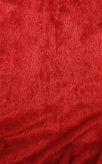 CHAMARRA ROJA BIG CITY ACOLCHADA CON INTERIOR DE PELUCHE