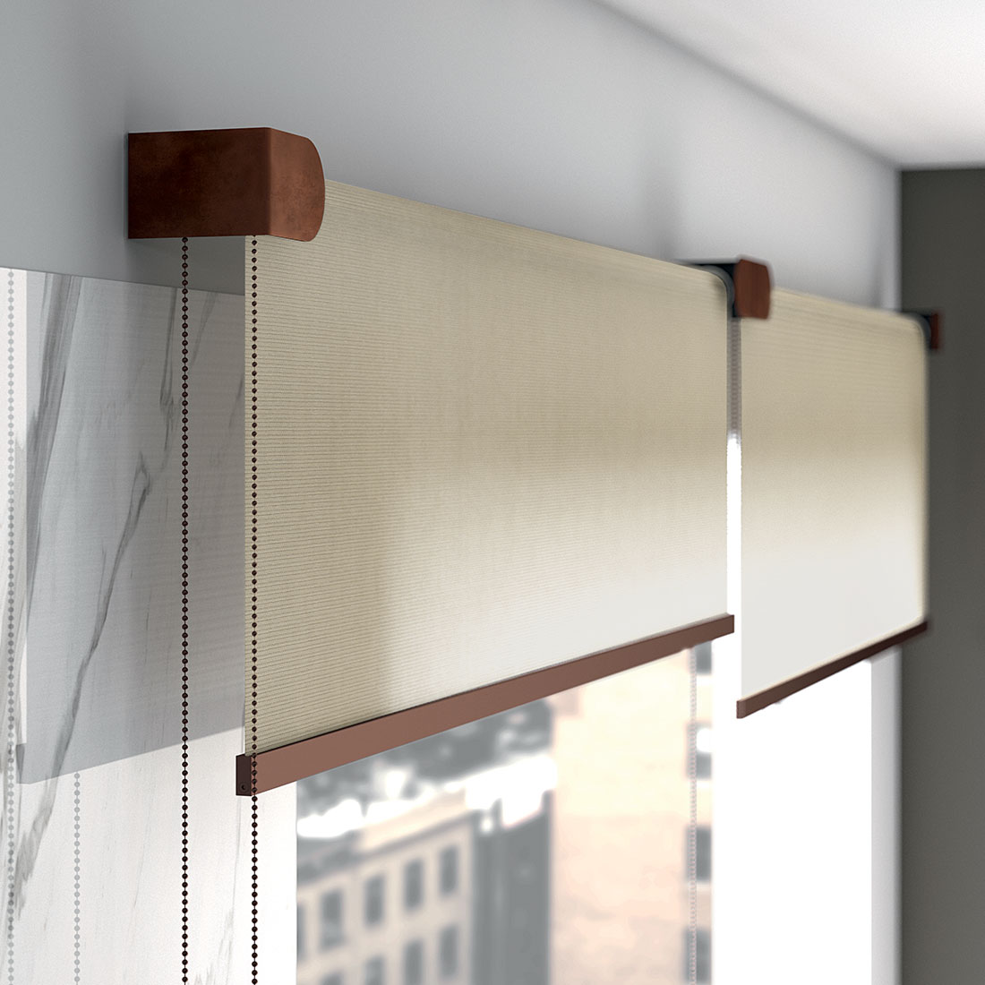 Window Roller Shades