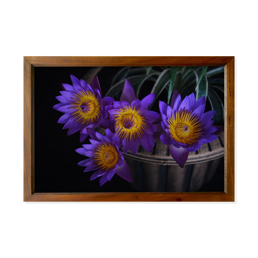 Blue lotus Flower bunch in a vase