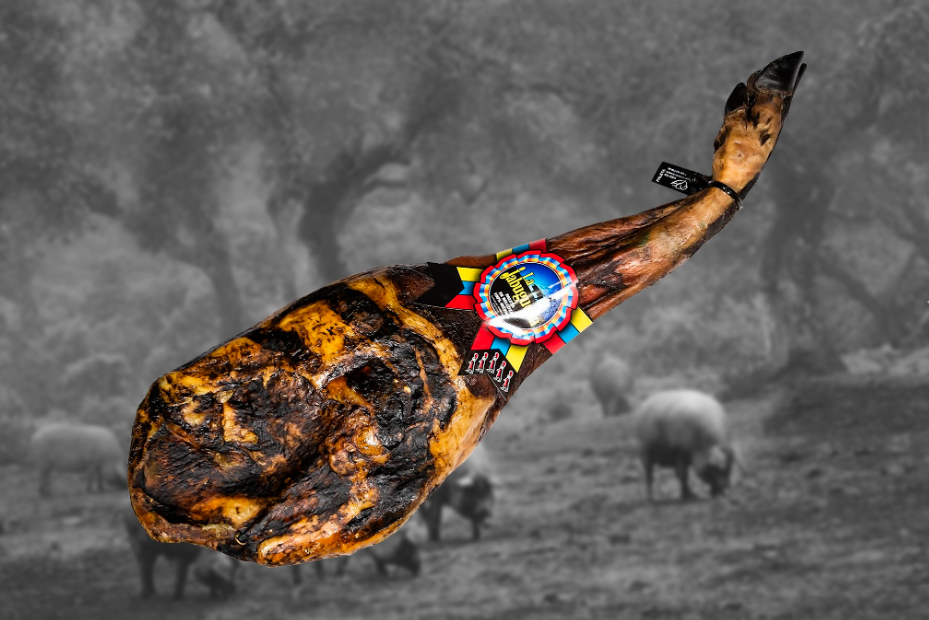 Paleta de bellota 100% ibérica DOP Jabugo