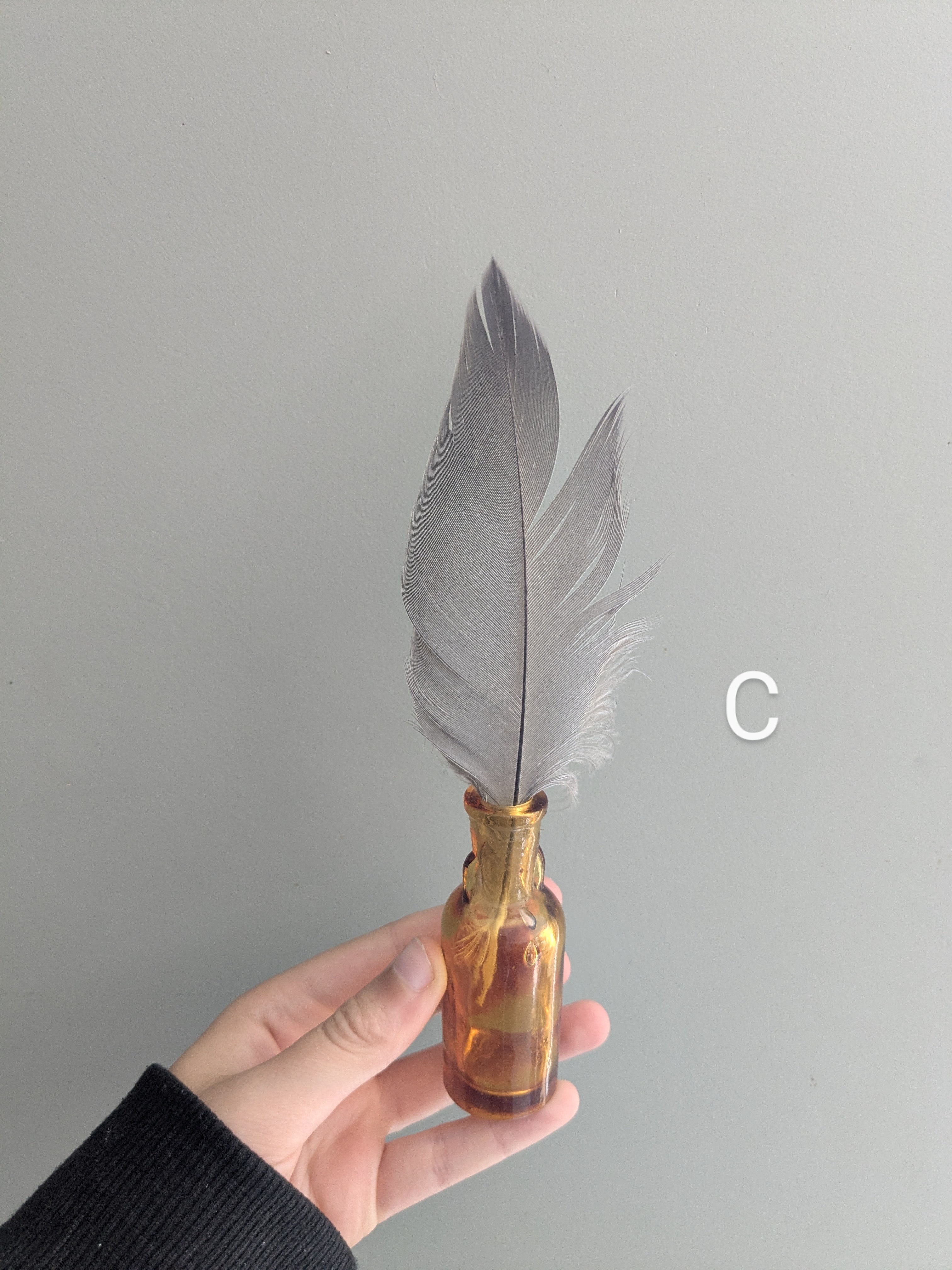 feather in jar