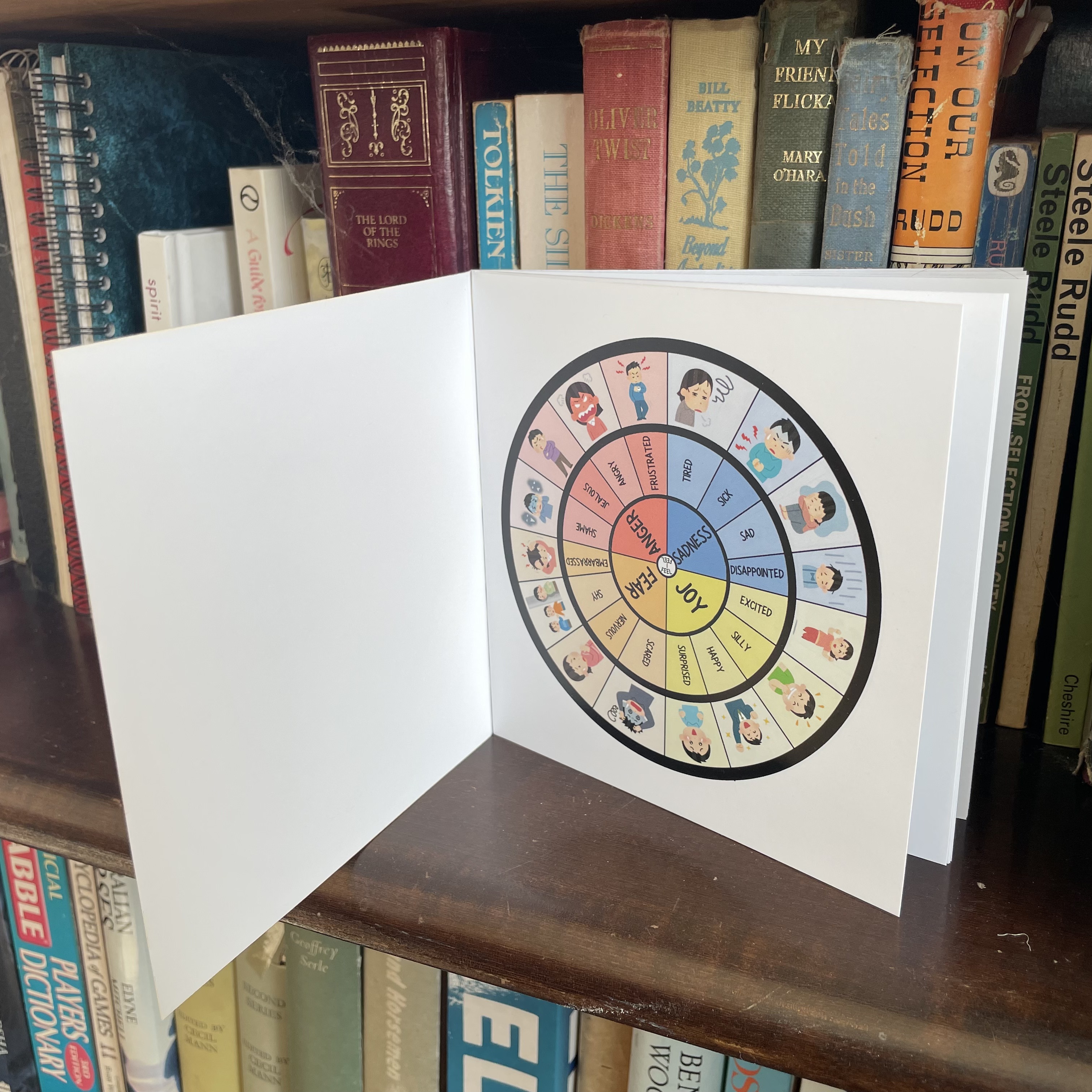 Leo's Big Feelings Kids Book