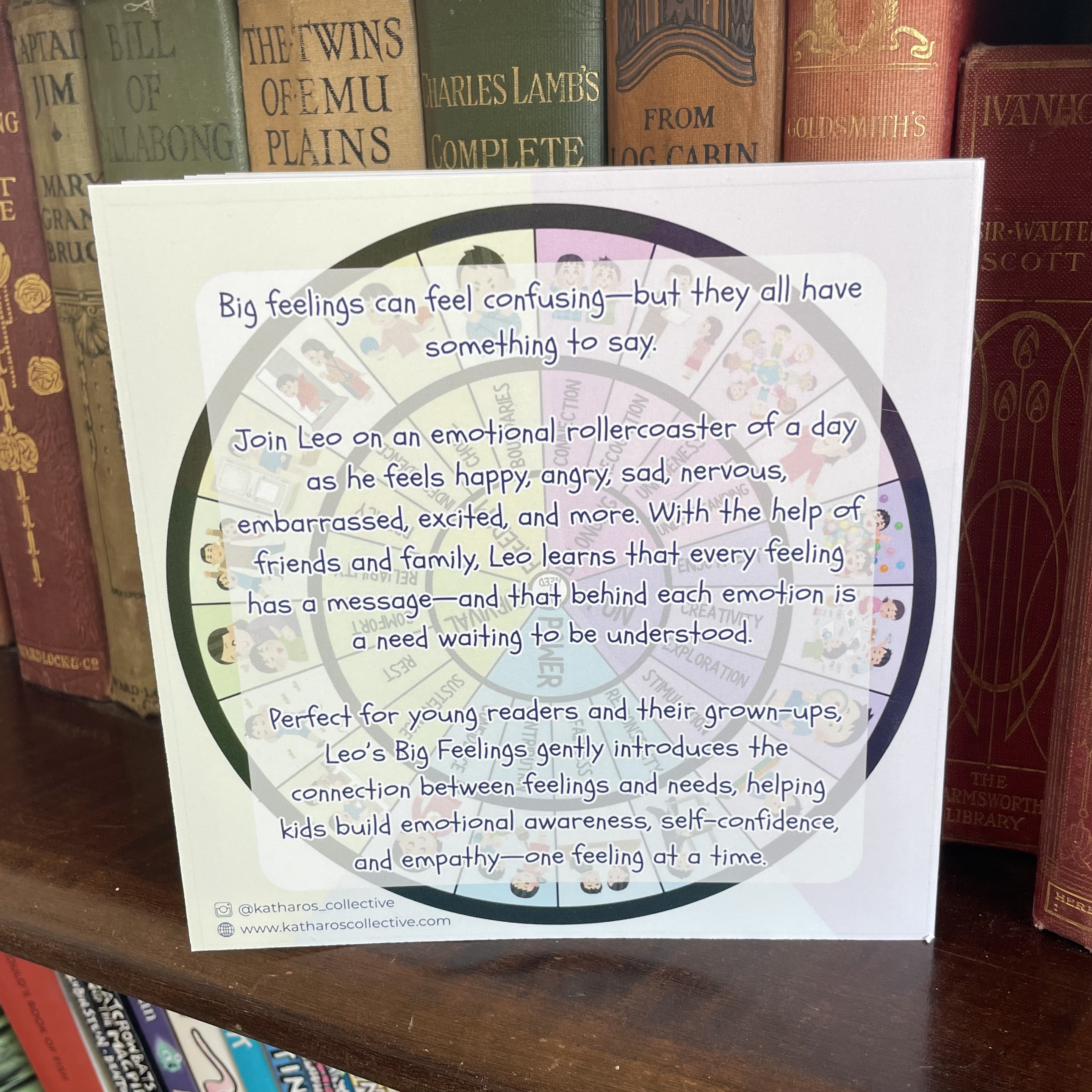 Leo's Big Feelings Kids Book