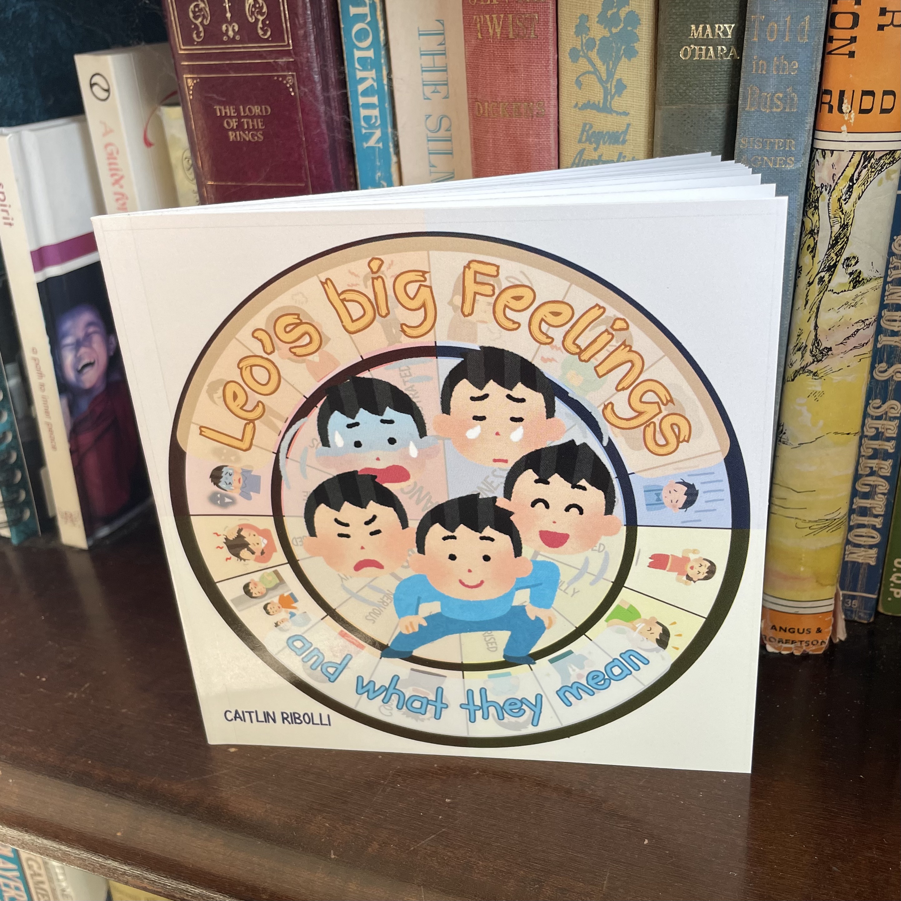 Leo's Big Feelings Kids Book