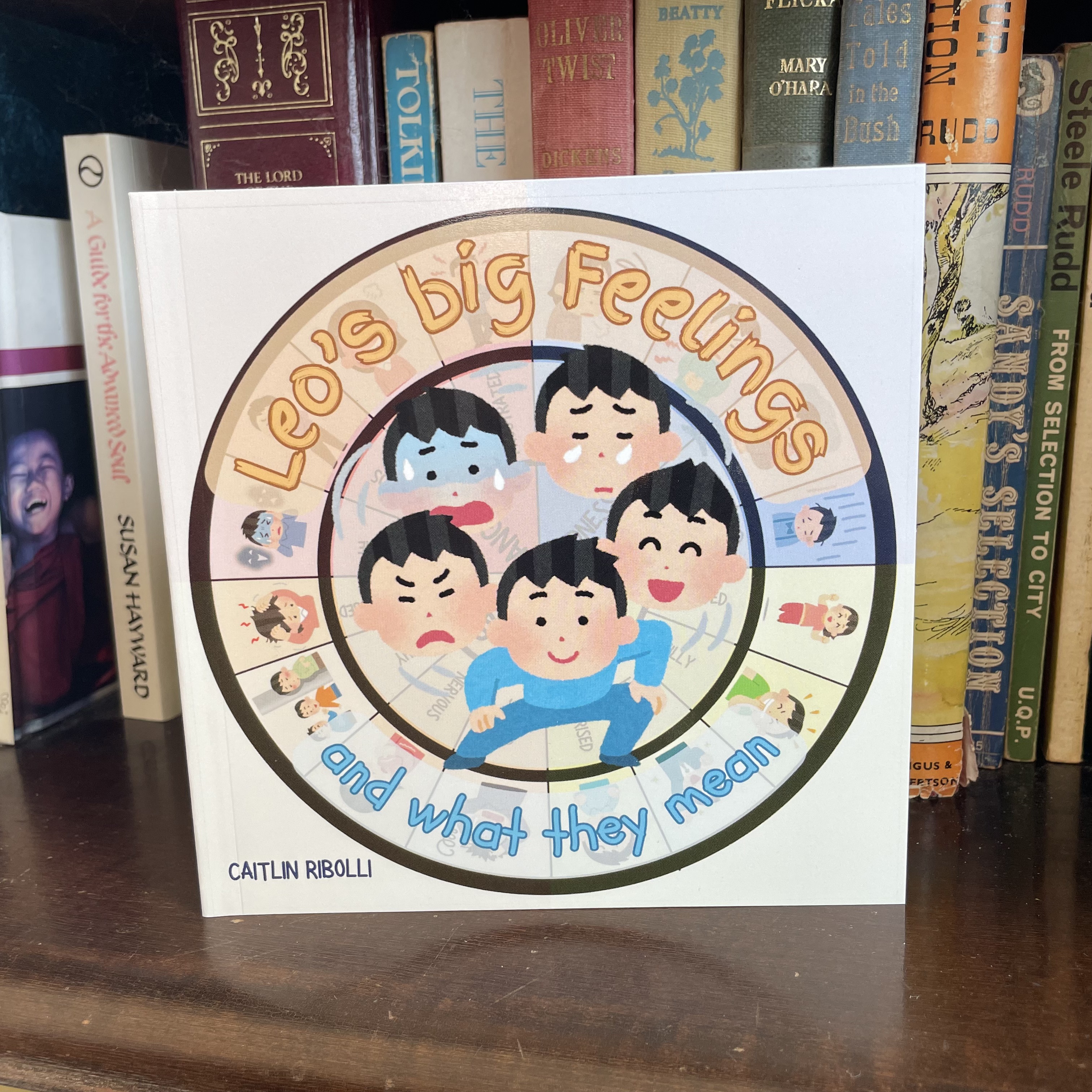 Leo's Big Feelings Kids Book