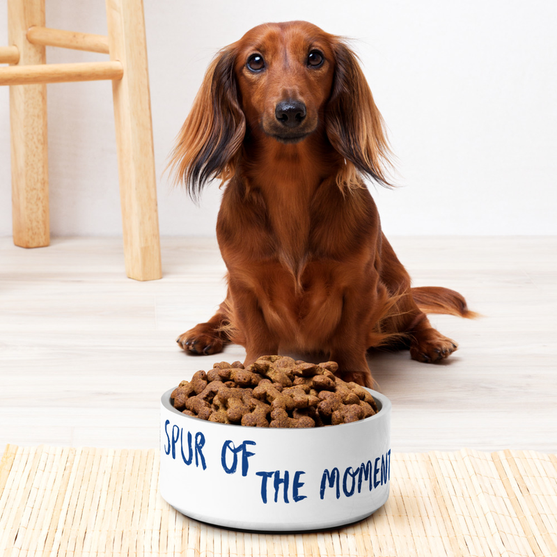 SOTM Pet bowl