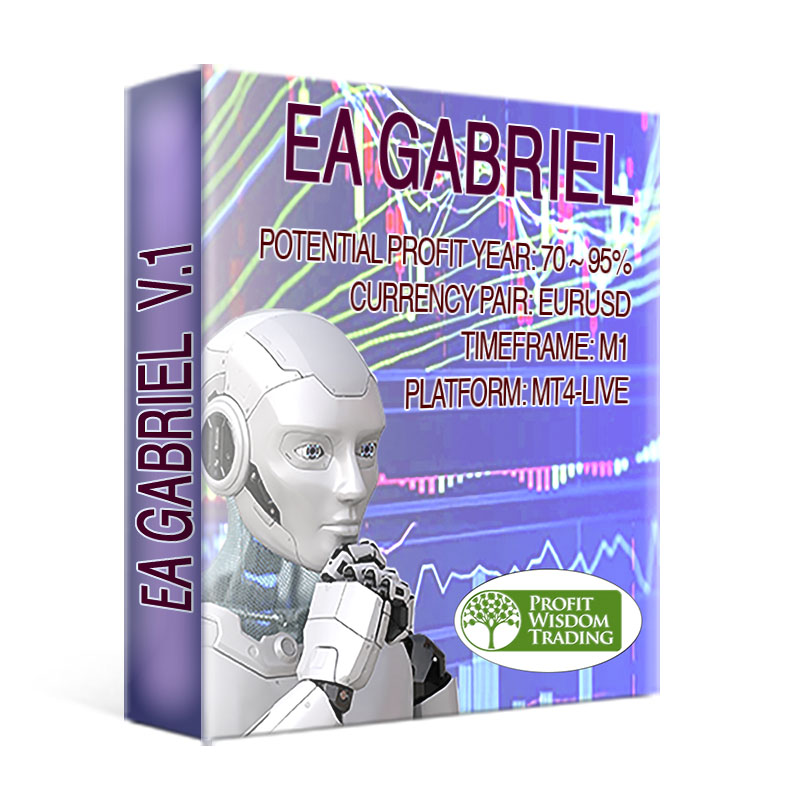EA Gabriel V.1 (1 Year Period)