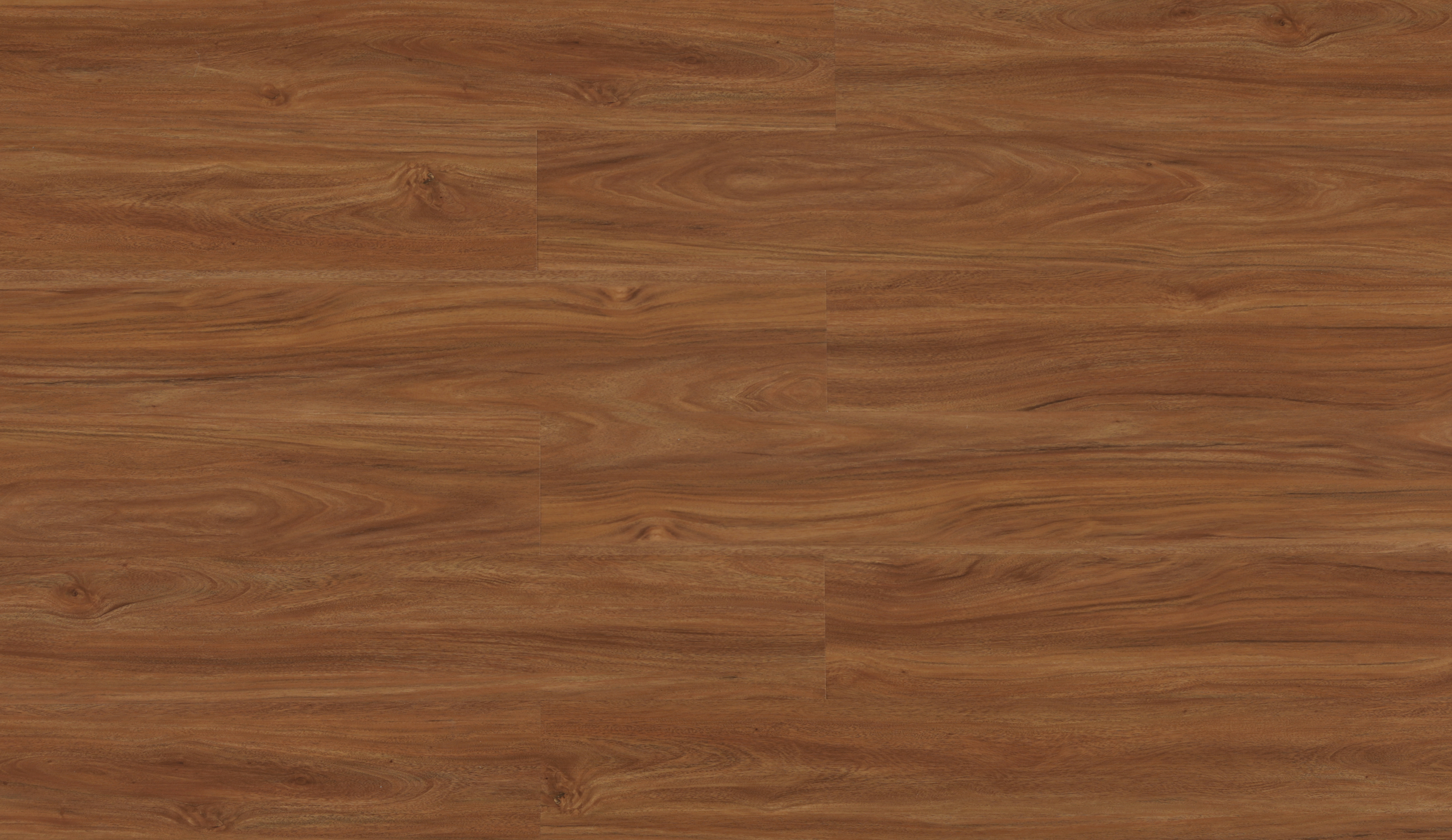 Jatoba S133